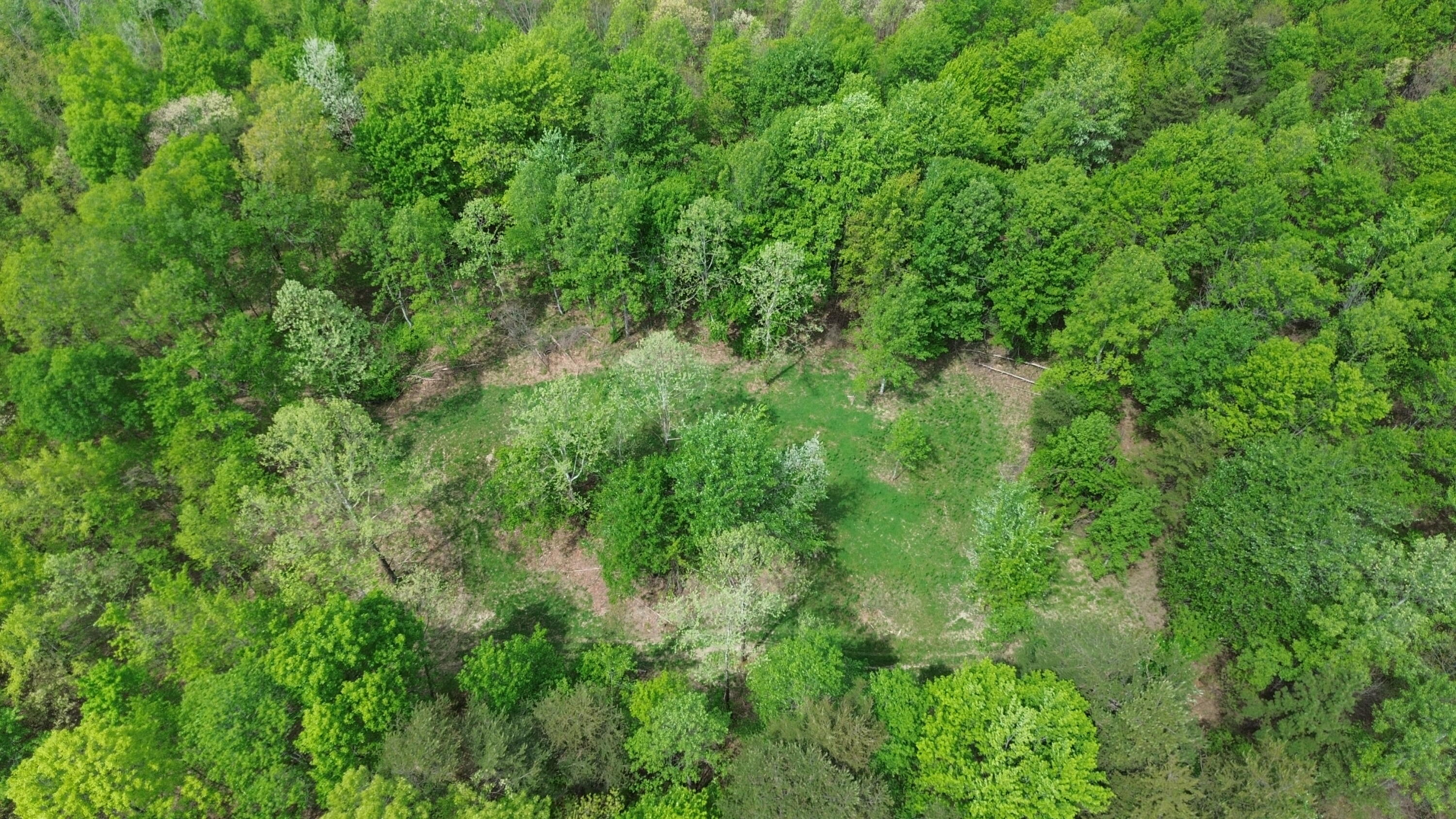 1271a Tunnel Ridge Rd Property Photo 48