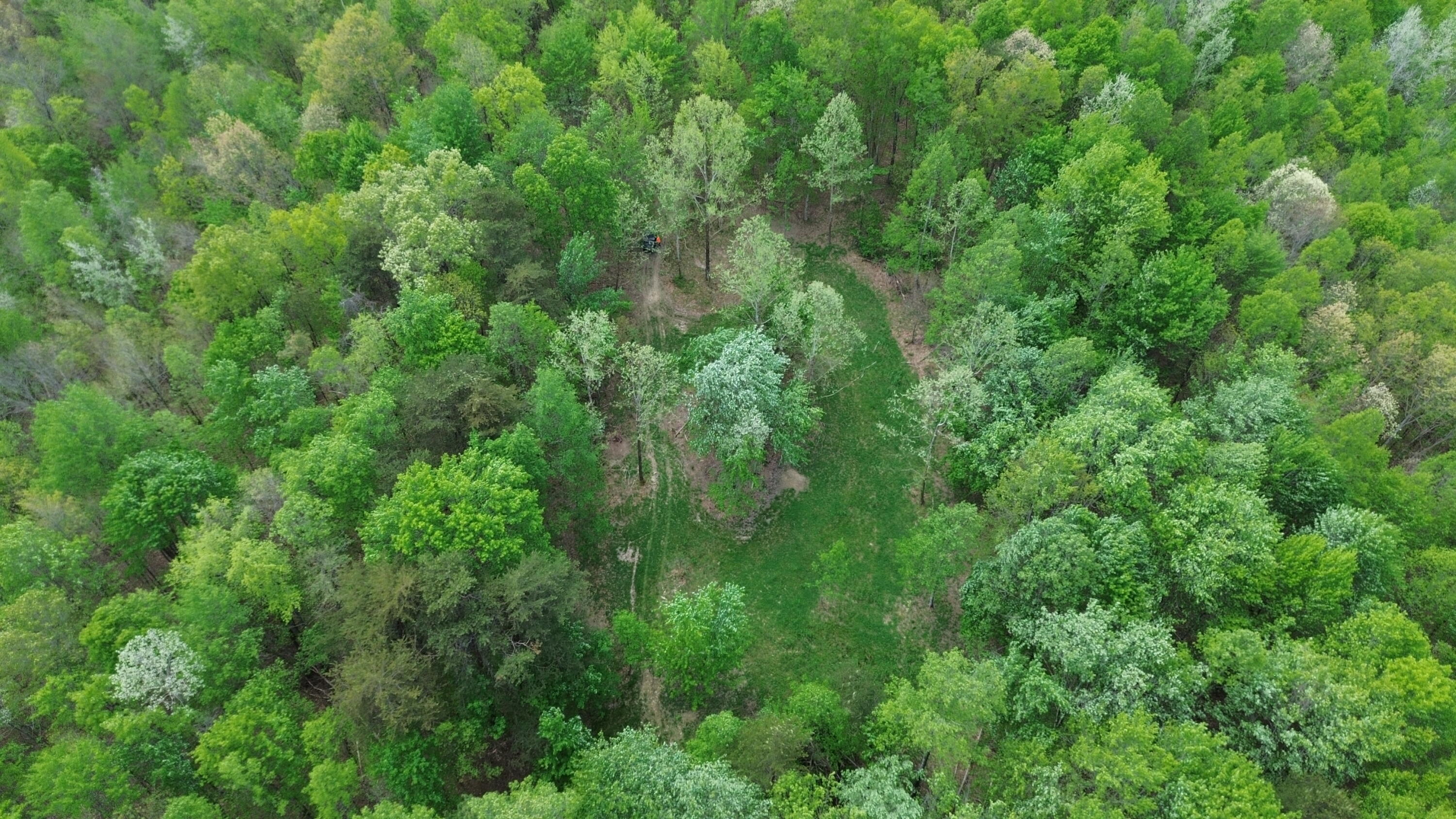 1271a Tunnel Ridge Rd Property Photo 49