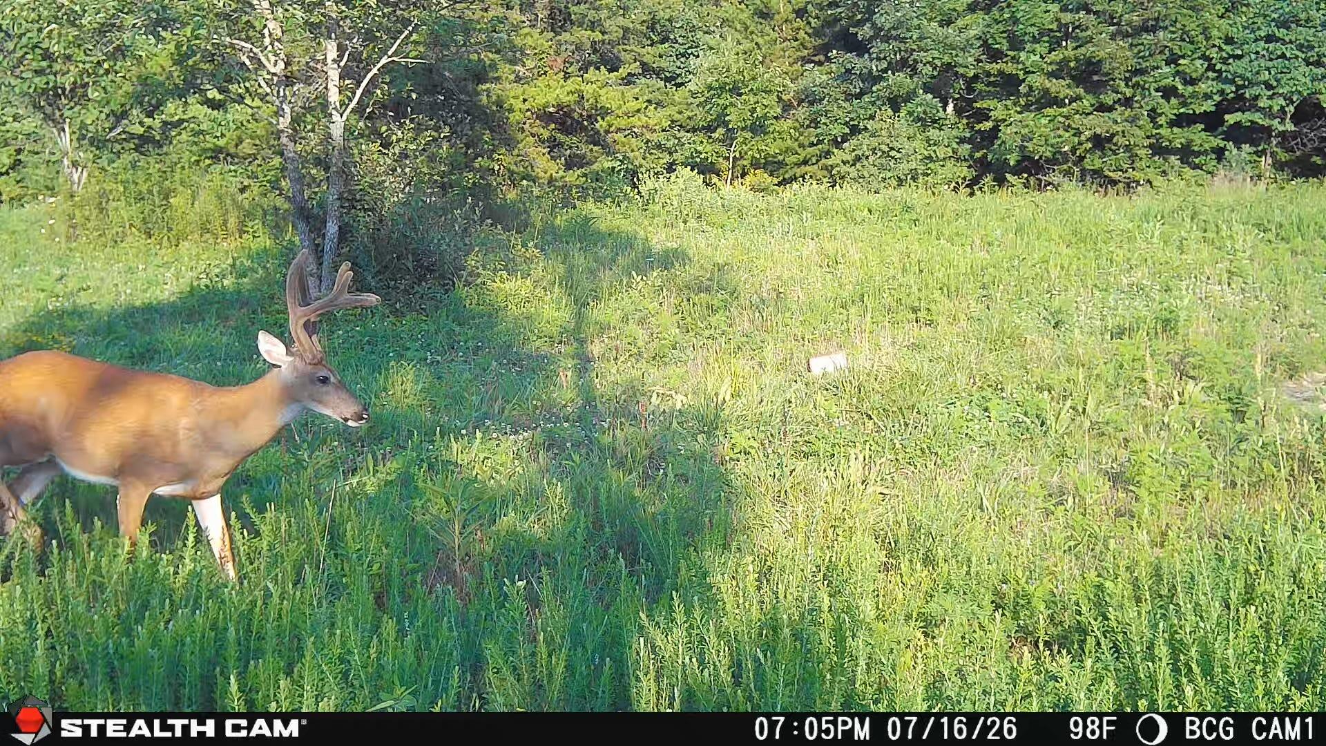 1271a Tunnel Ridge Rd Property Photo 50