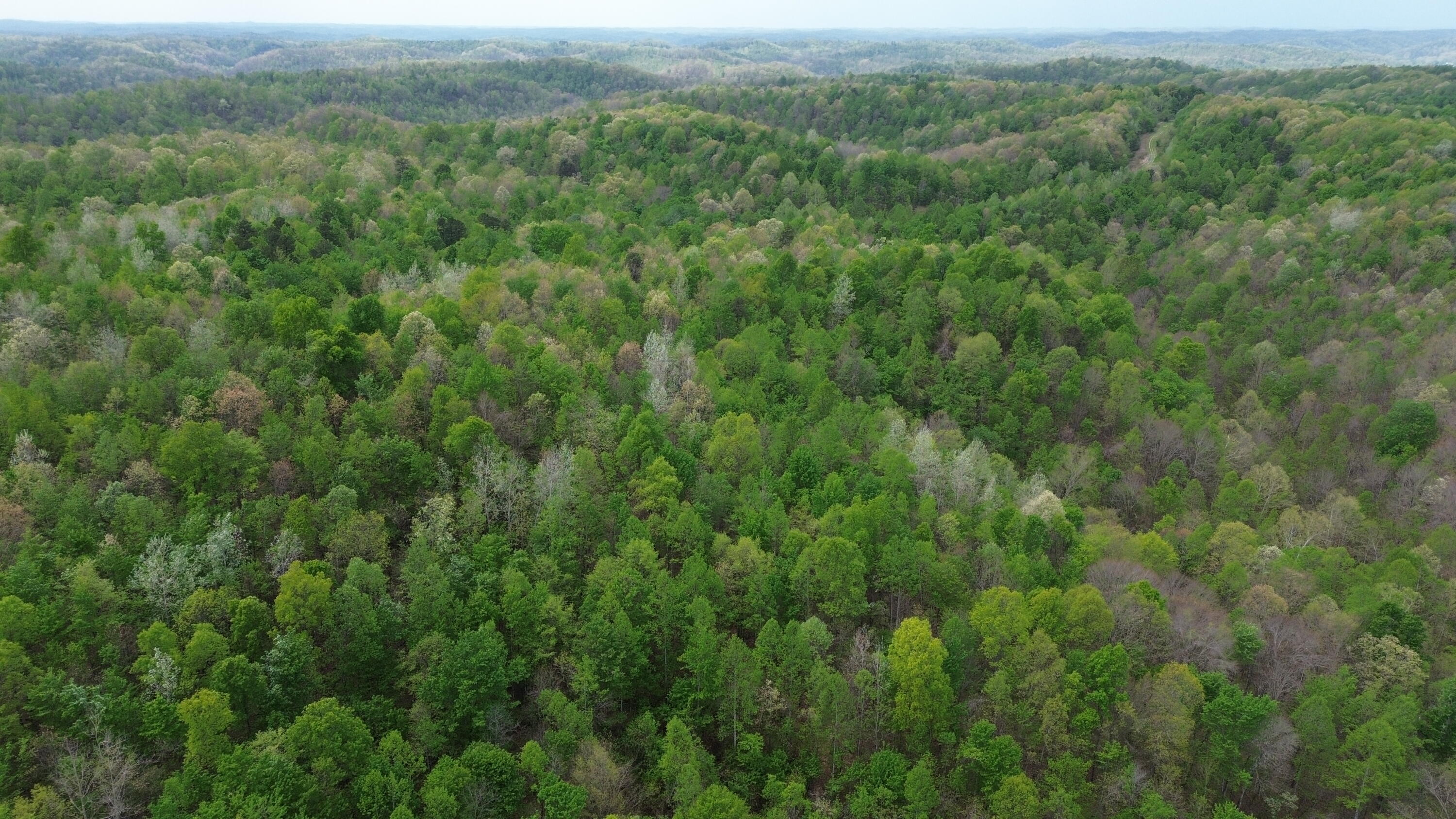 1271a Tunnel Ridge Rd Property Photo 51