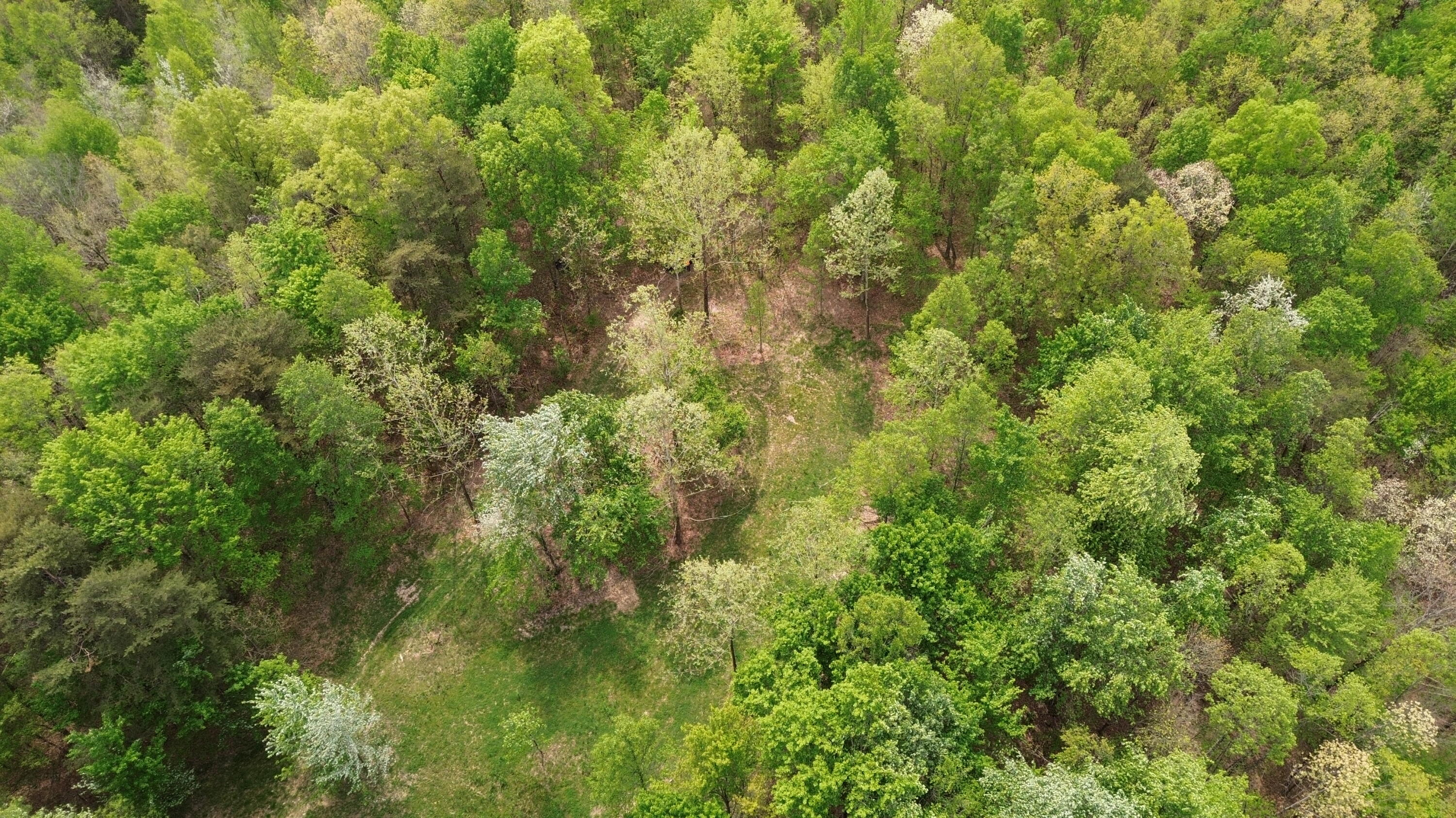 1271a Tunnel Ridge Rd Property Photo 52