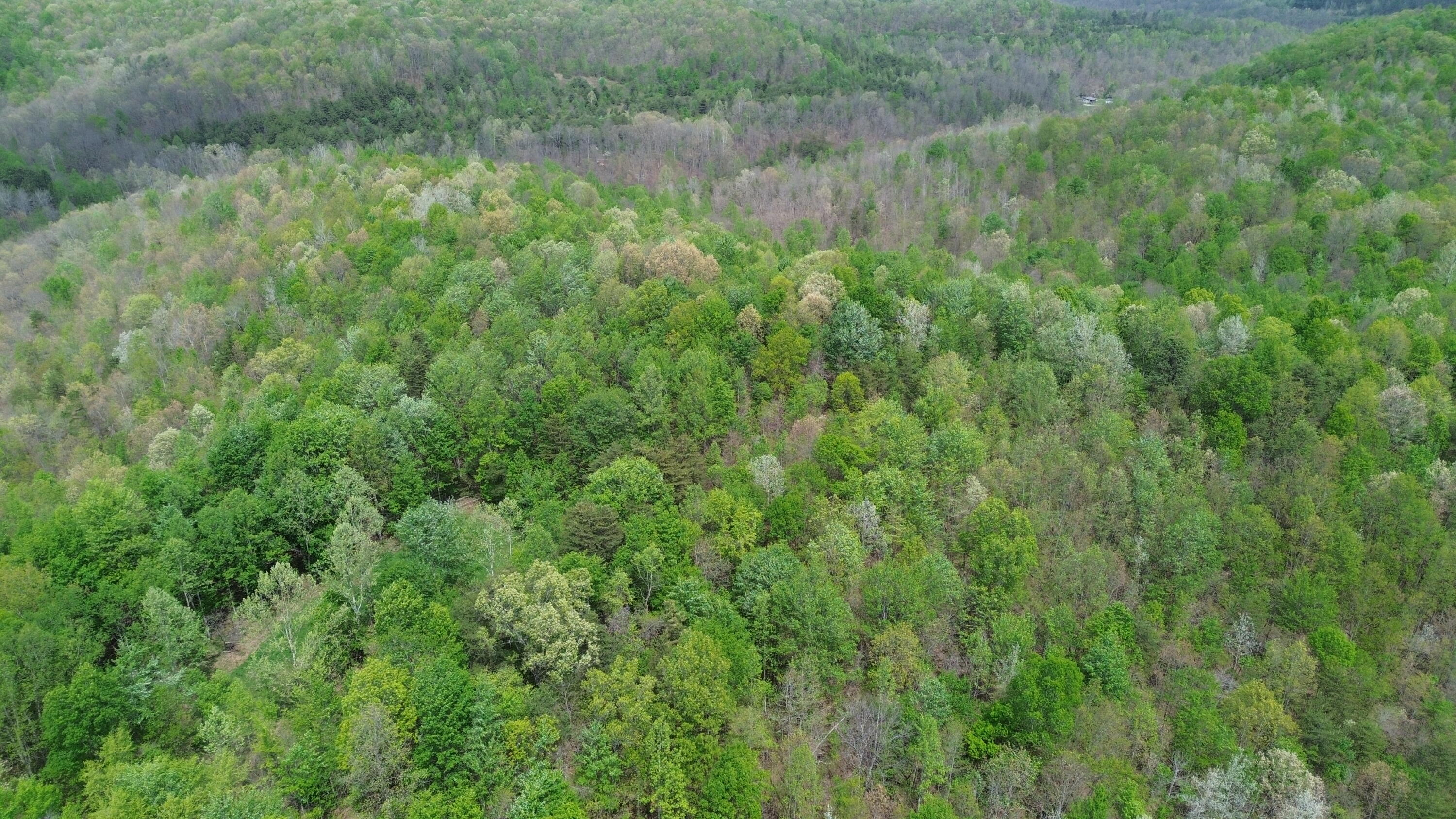 1271a Tunnel Ridge Rd Property Photo 55