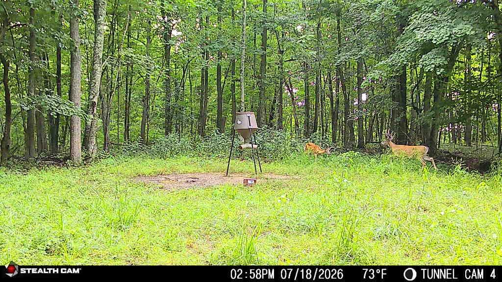1271a Tunnel Ridge Rd Property Photo 60