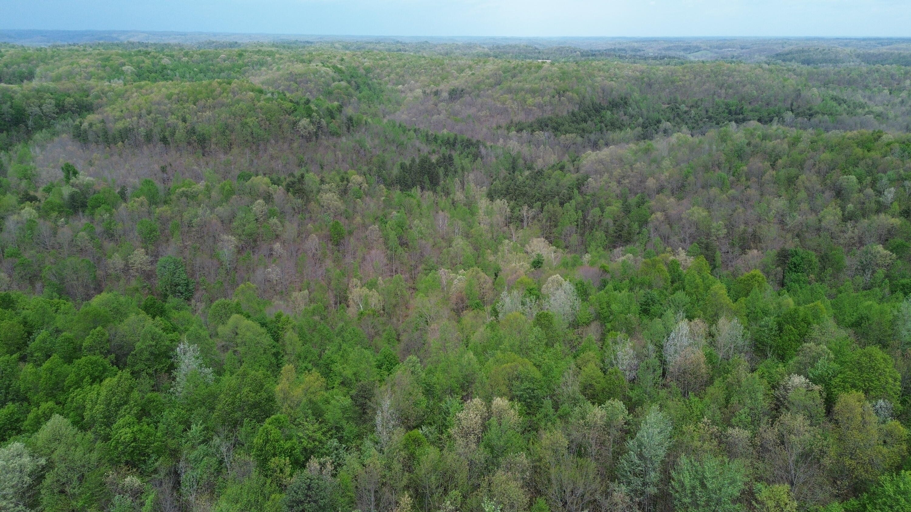 1271a Tunnel Ridge Rd Property Photo 65