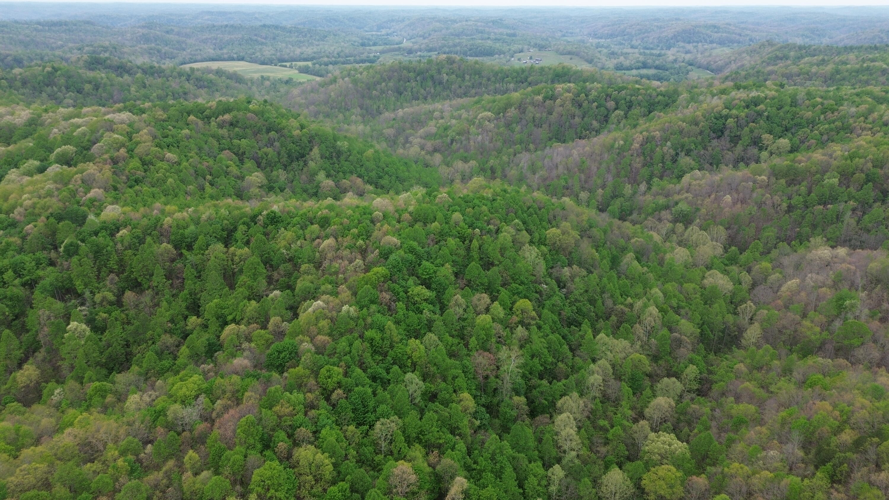 1271a Tunnel Ridge Rd Property Photo 67