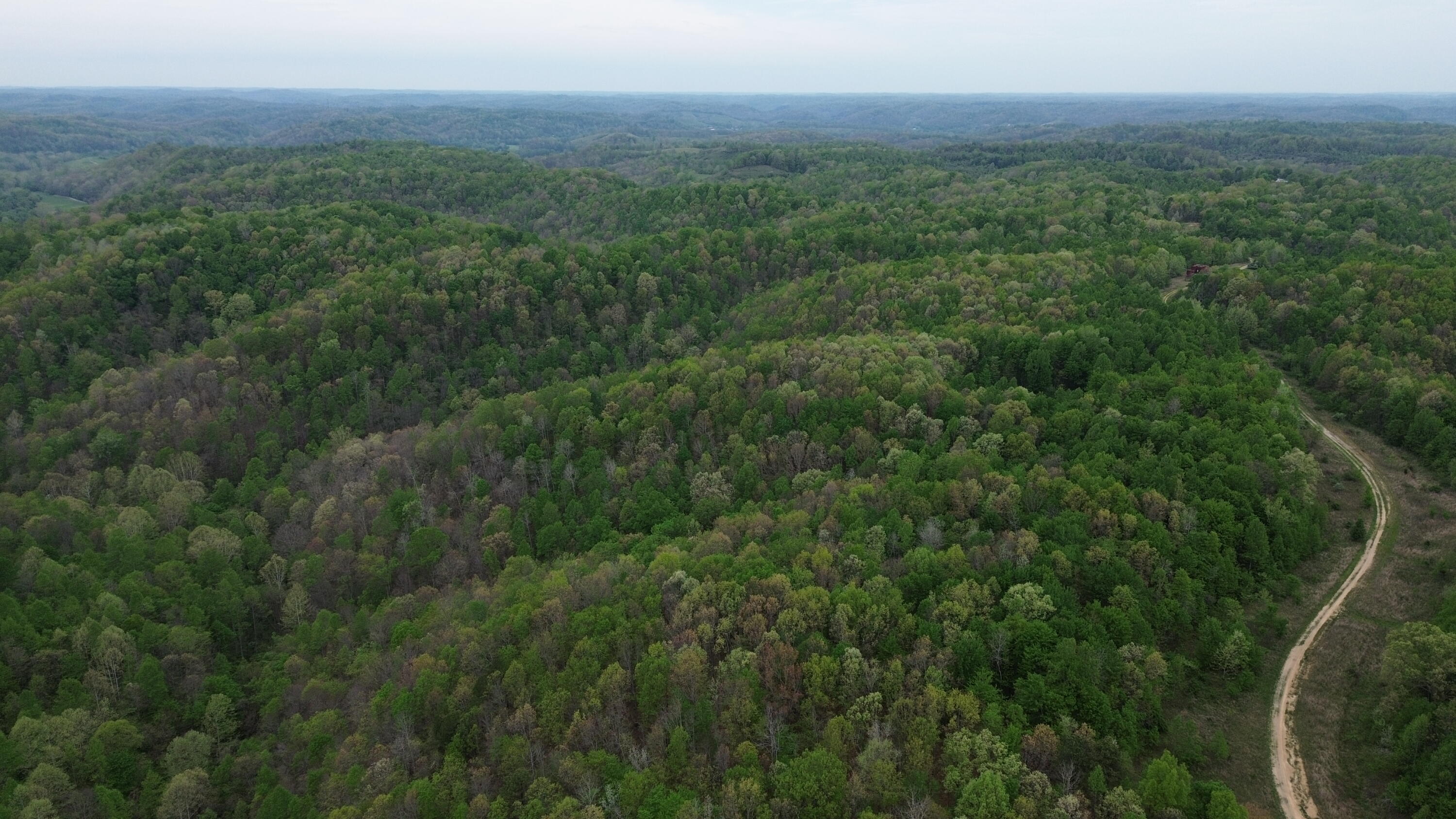 1271a Tunnel Ridge Rd Property Photo 69