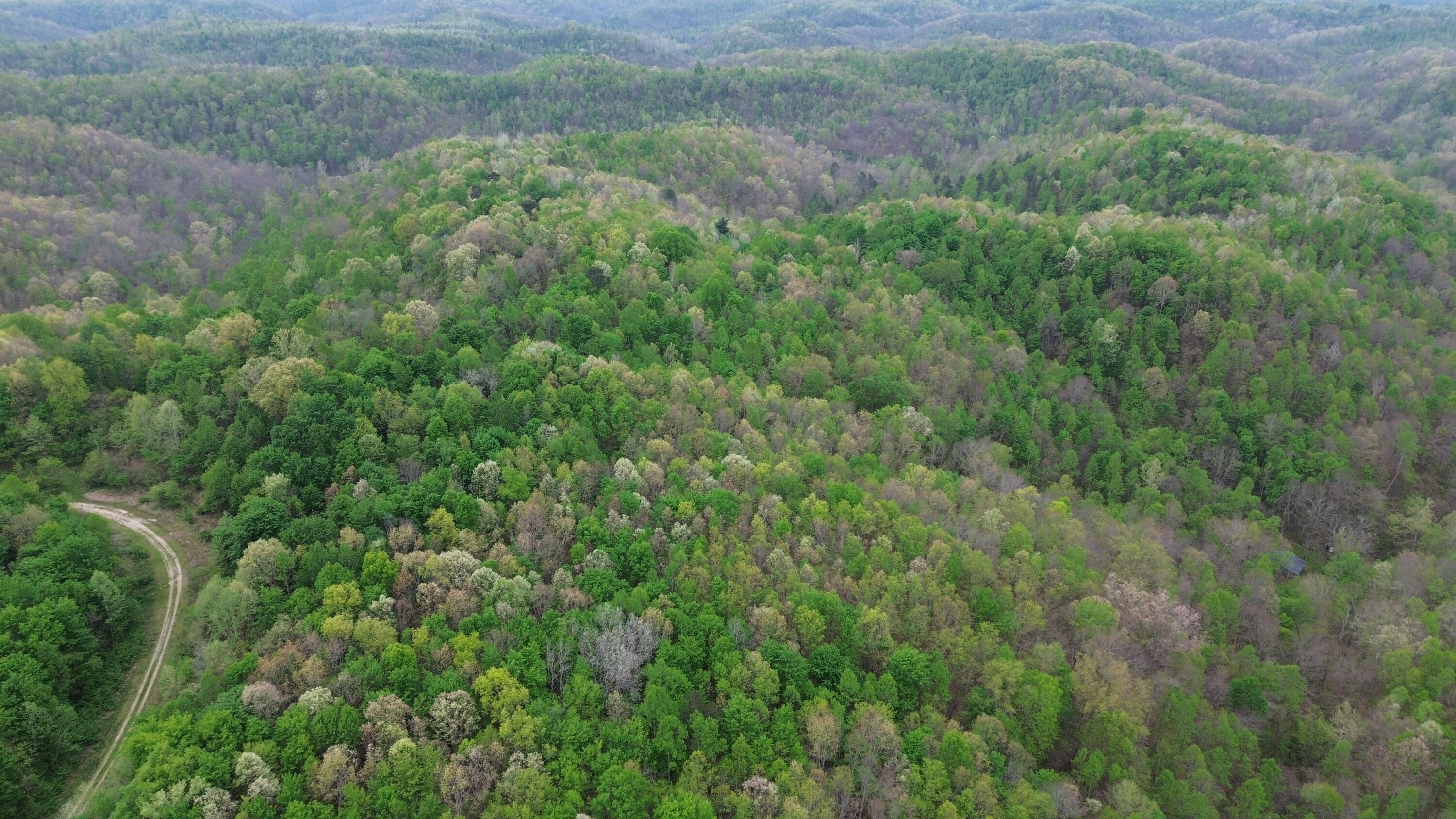 1271a Tunnel Ridge Rd Property Photo 71