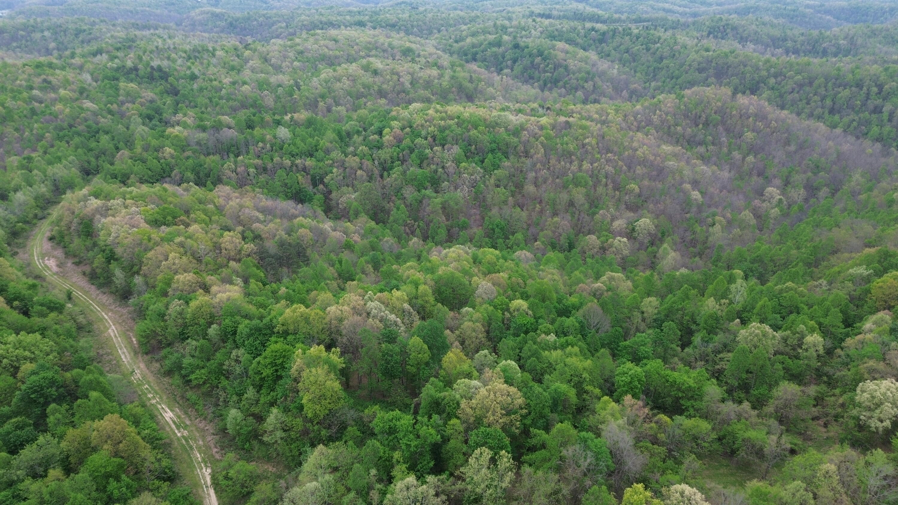 1271a Tunnel Ridge Rd Property Photo 73