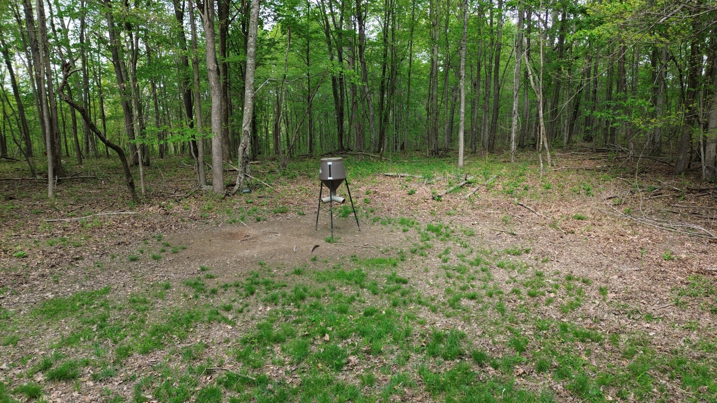 1271a Tunnel Ridge Rd Property Photo 82