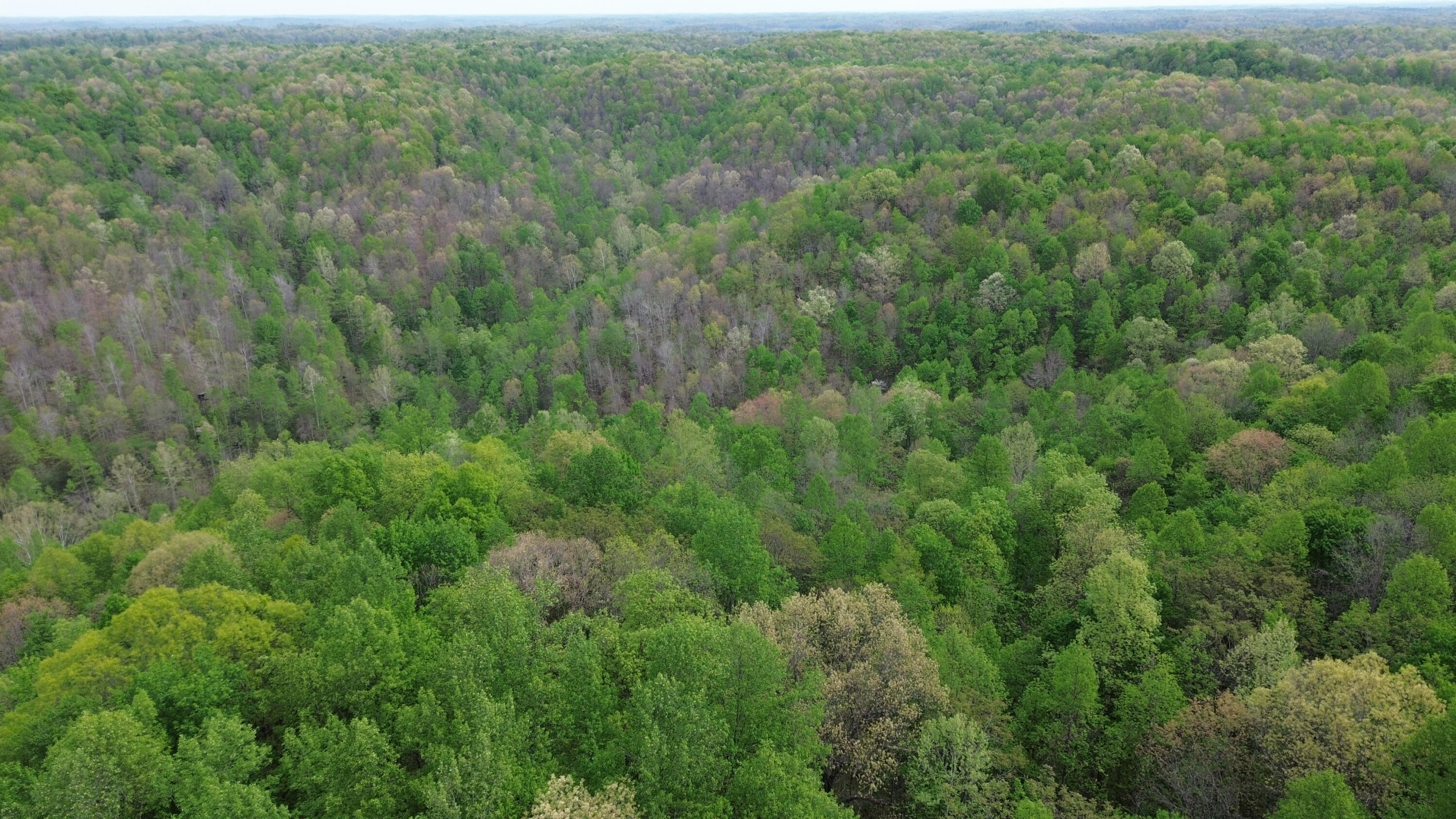 1271a Tunnel Ridge Rd Property Photo 85