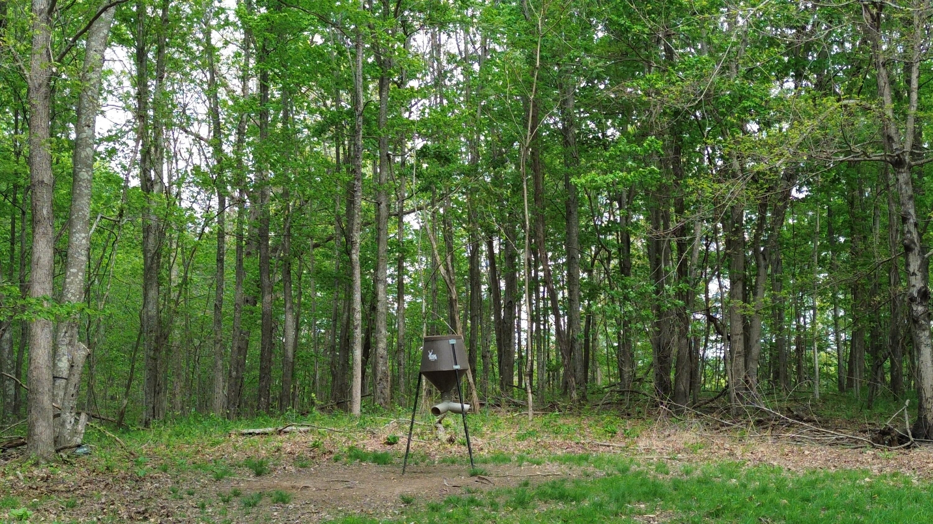1271a Tunnel Ridge Rd Property Photo 87