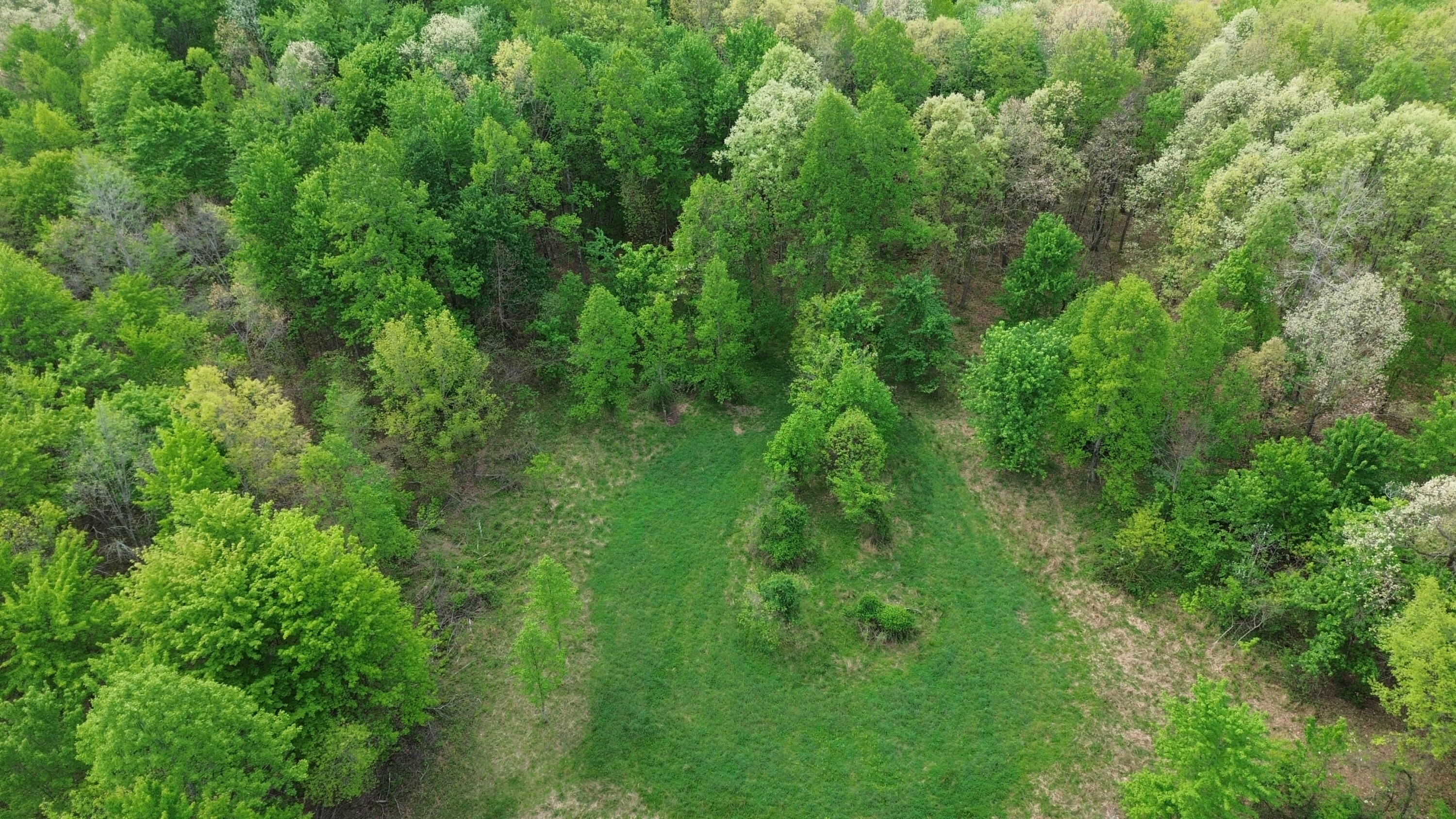 1271a Tunnel Ridge Rd Property Photo 88