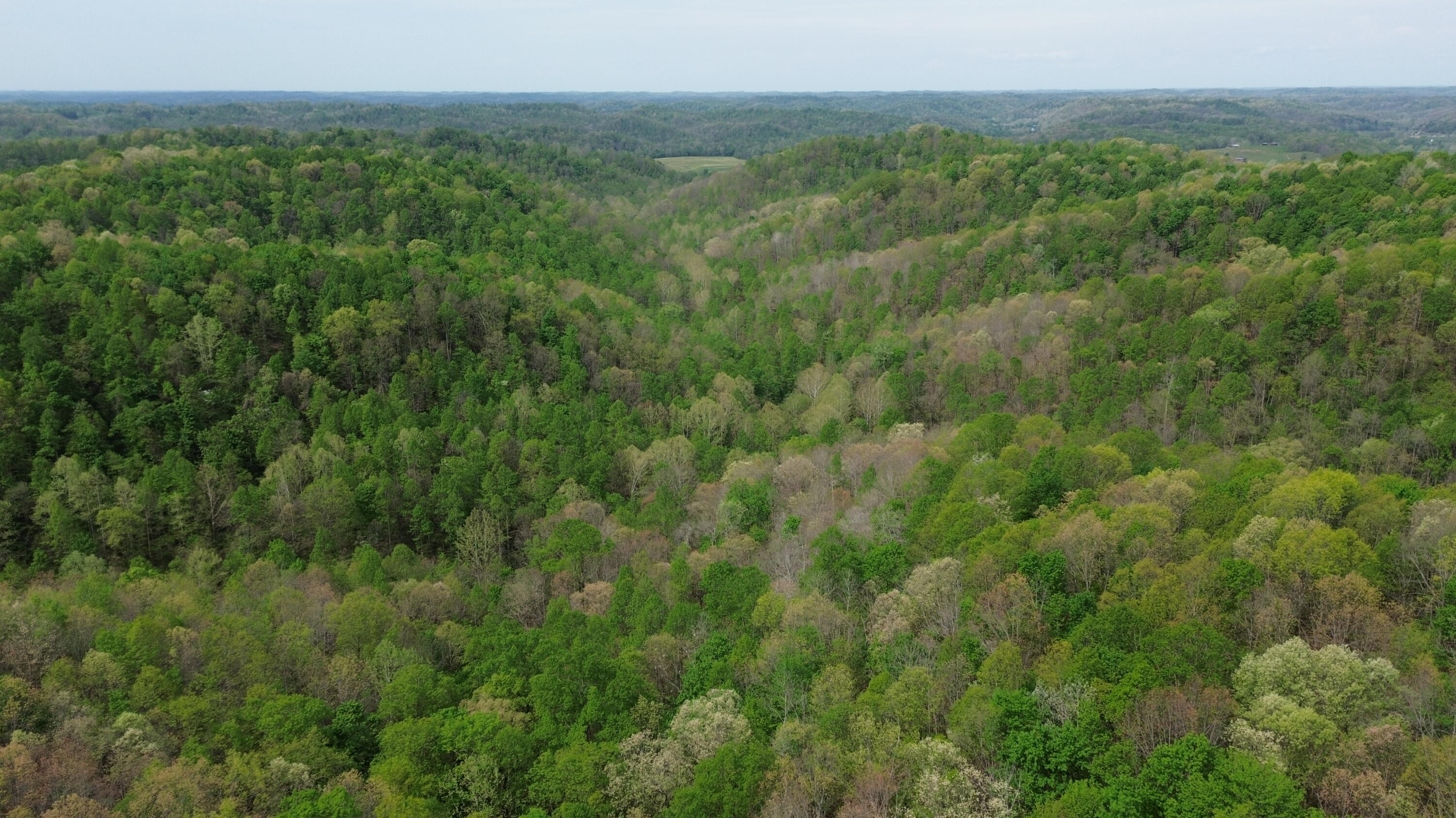 1271a Tunnel Ridge Rd Property Photo 89