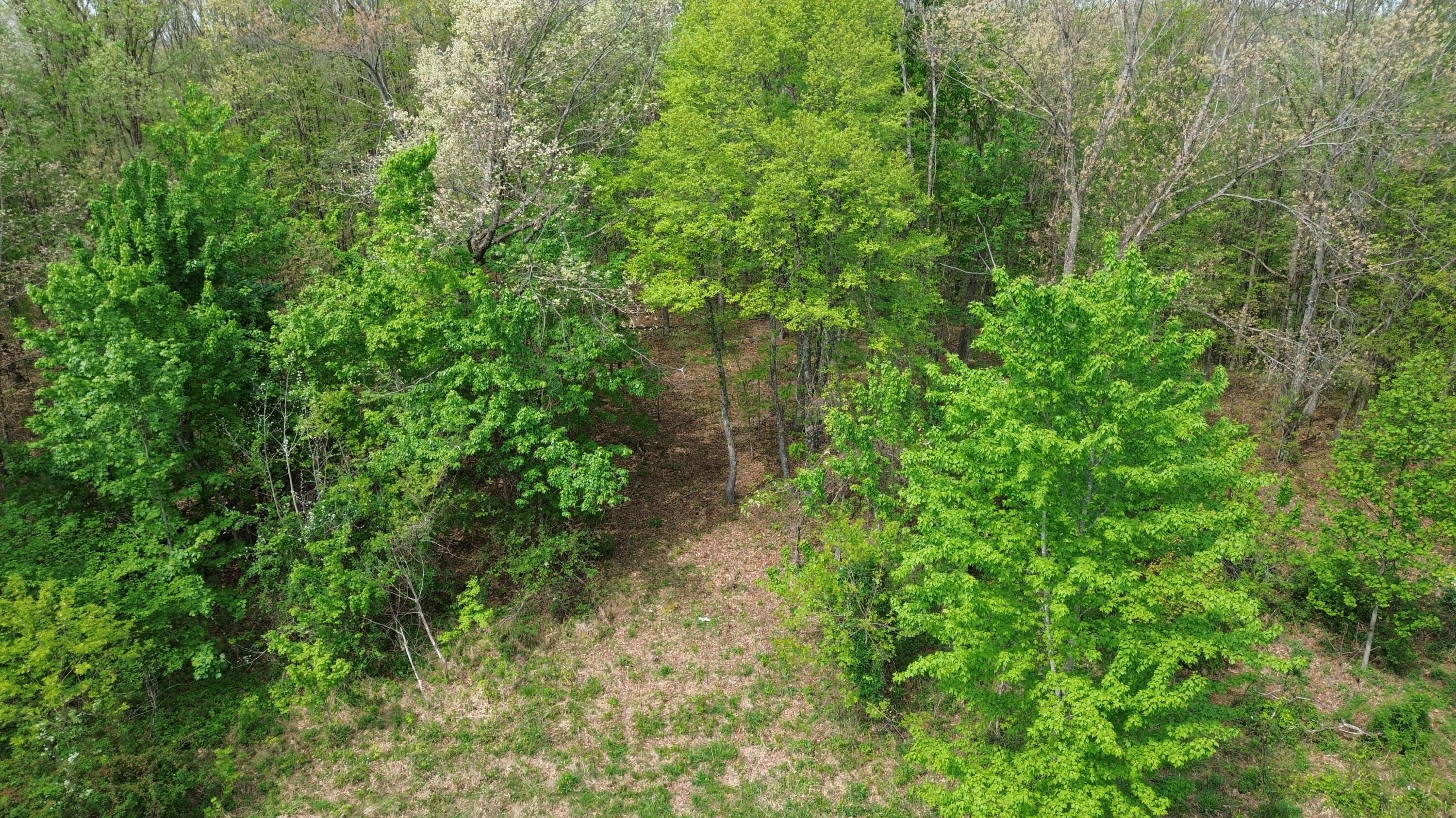 1271a Tunnel Ridge Rd Property Photo 94