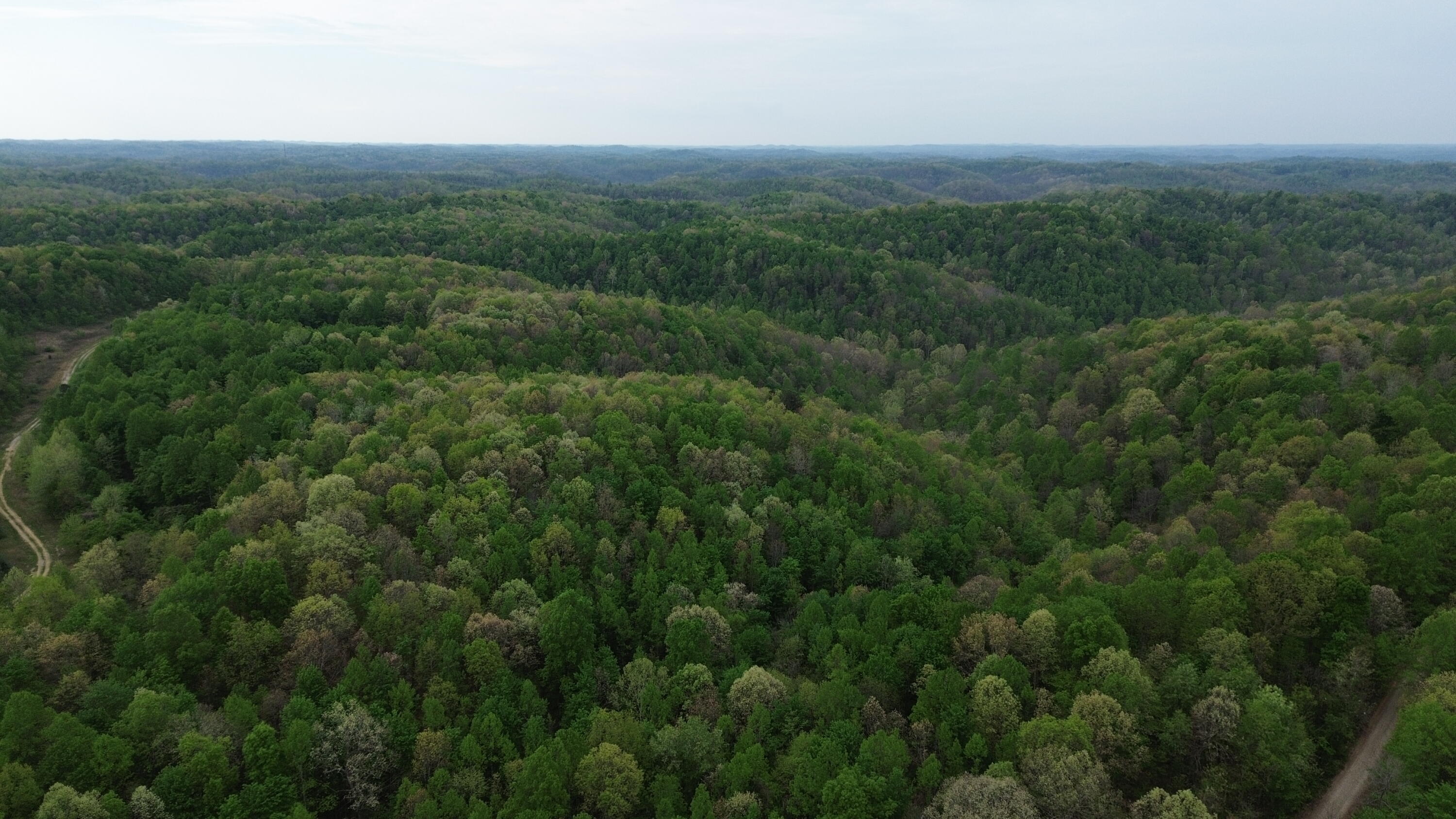 1271a Tunnel Ridge Rd Property Photo 99