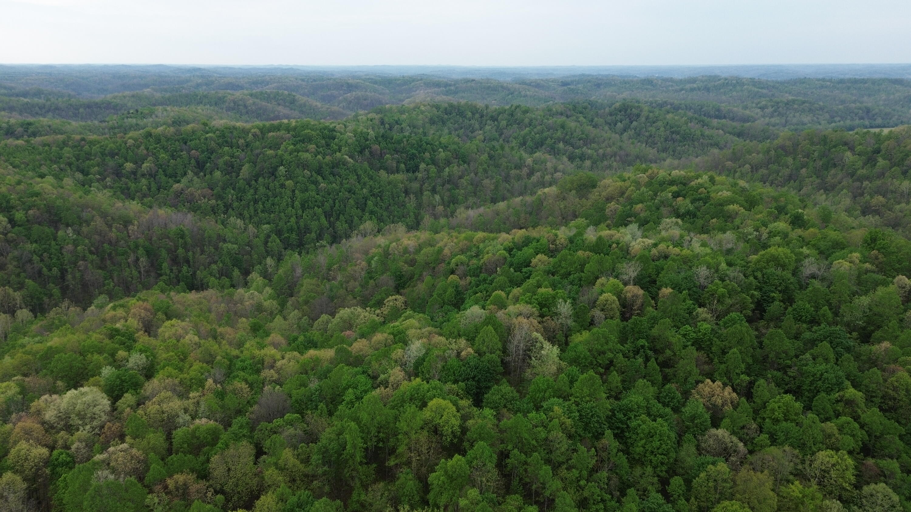 1271a Tunnel Ridge Rd Property Photo 101