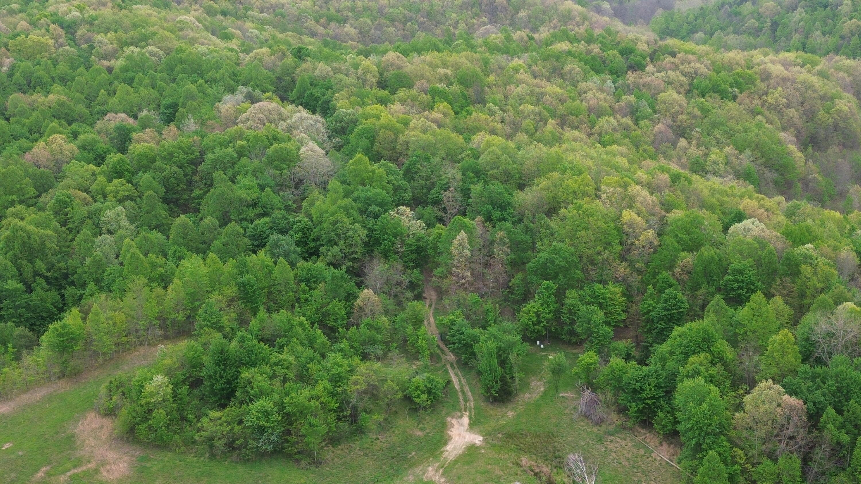 1271a Tunnel Ridge Rd Property Photo 104