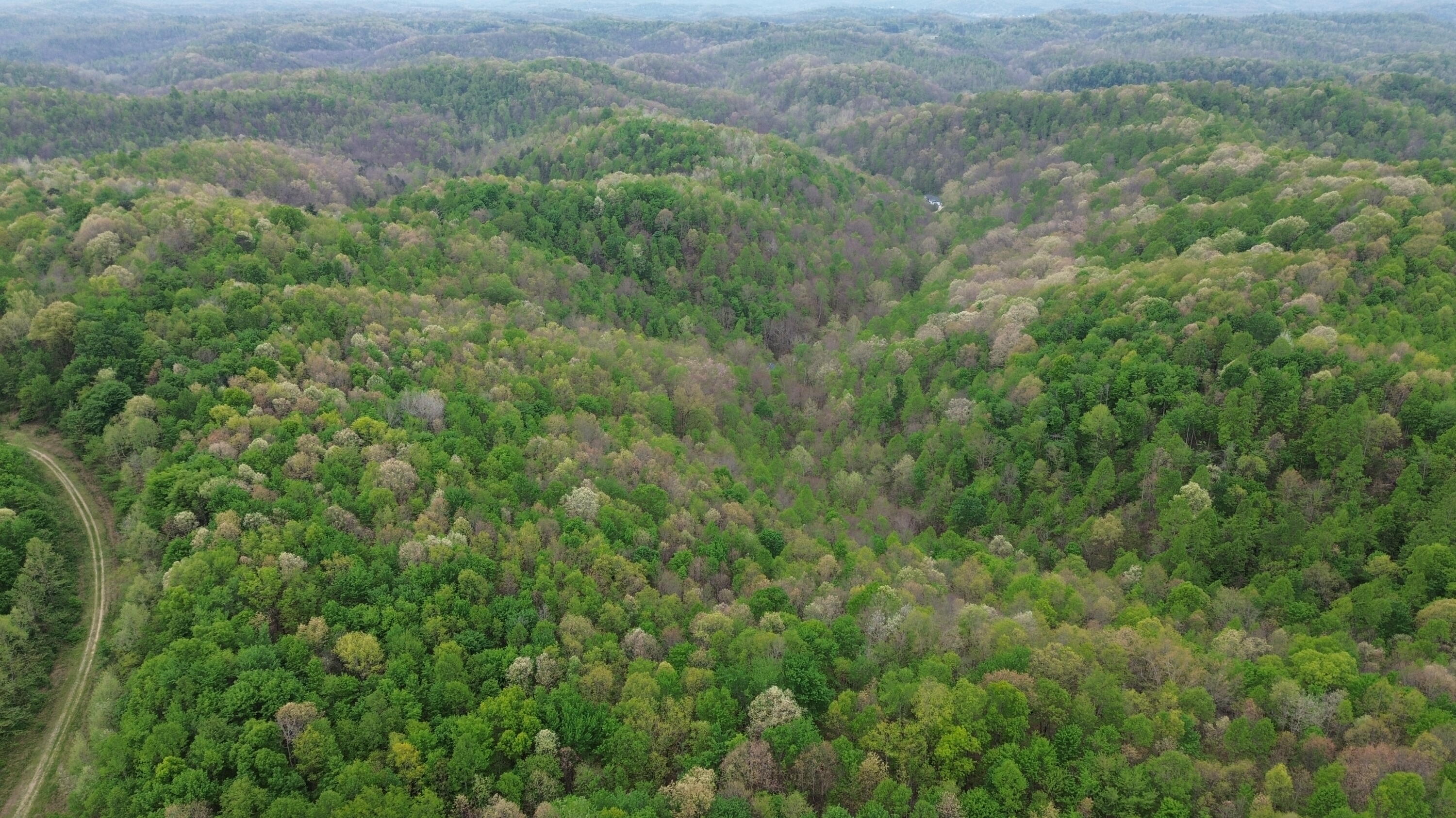 1271a Tunnel Ridge Rd Property Photo 109