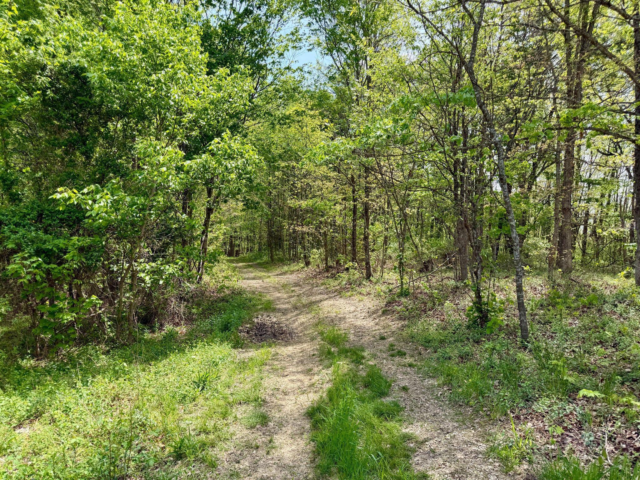 1271a Tunnel Ridge Rd Property Photo 110