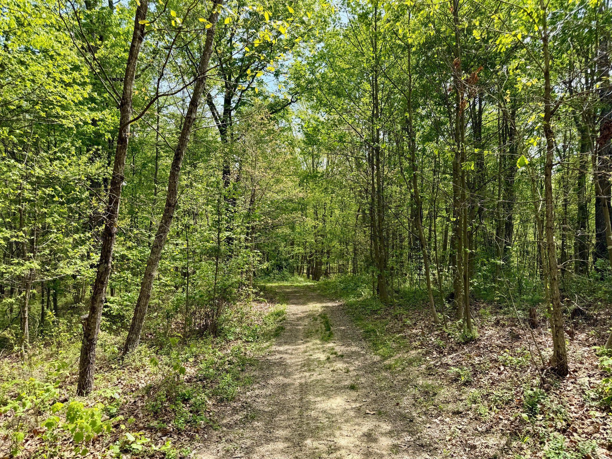 1271a Tunnel Ridge Rd Property Photo 111