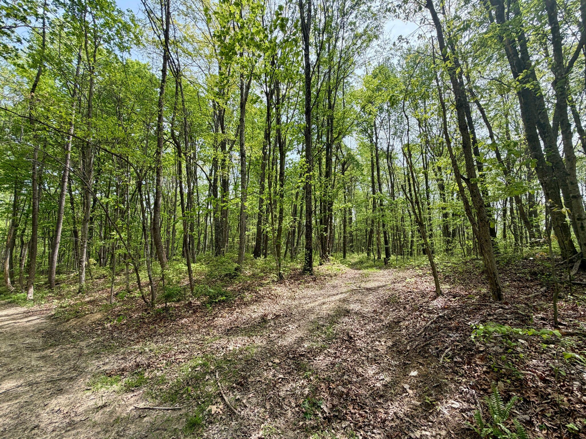 1271a Tunnel Ridge Rd Property Photo 115