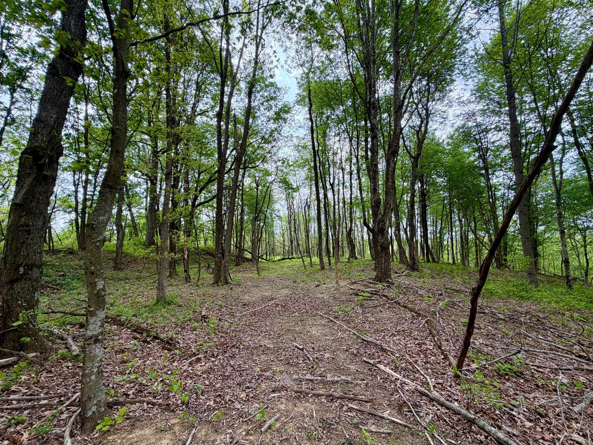 1271a Tunnel Ridge Rd Property Photo 116
