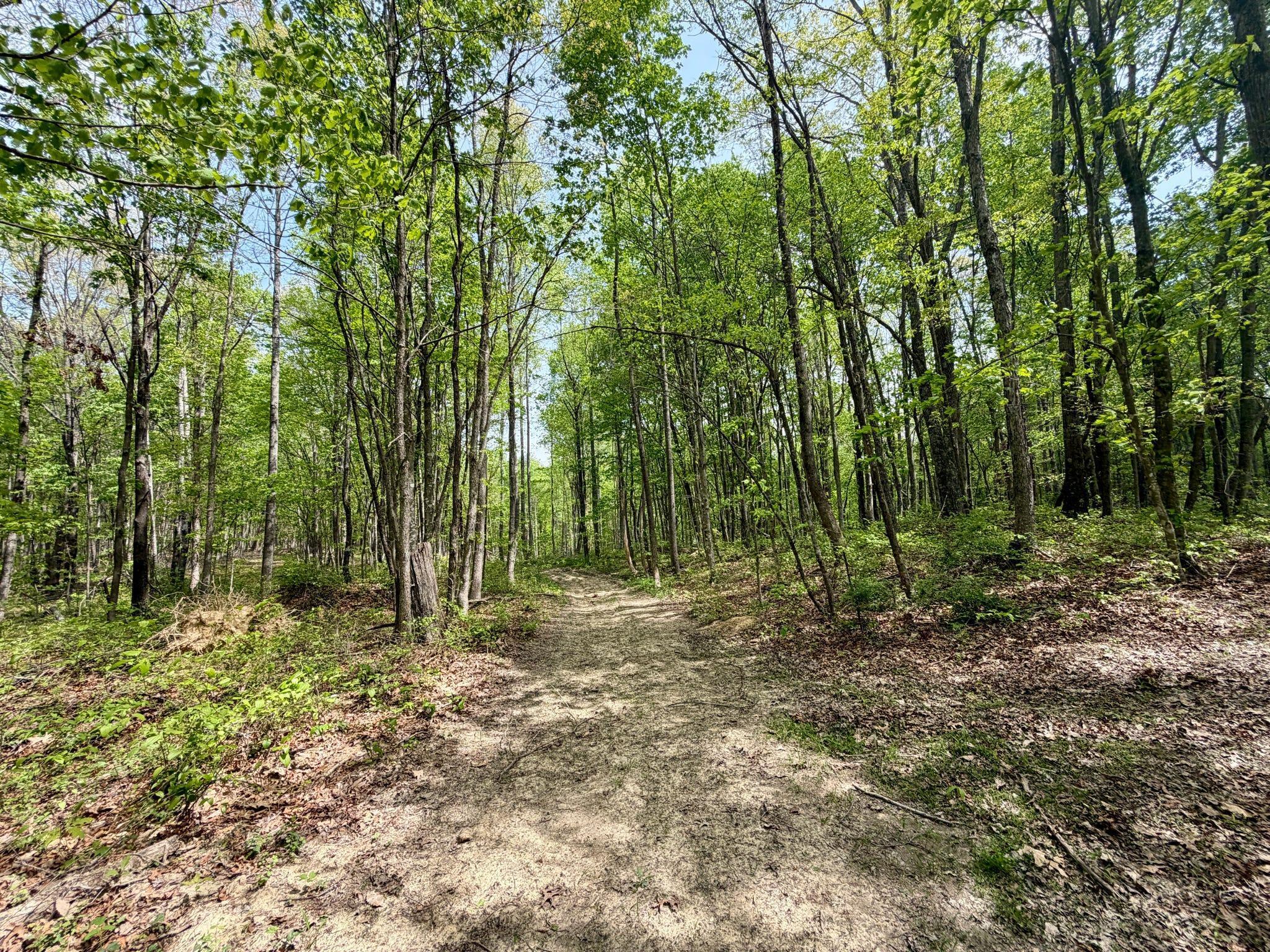 1271a Tunnel Ridge Rd Property Photo 117