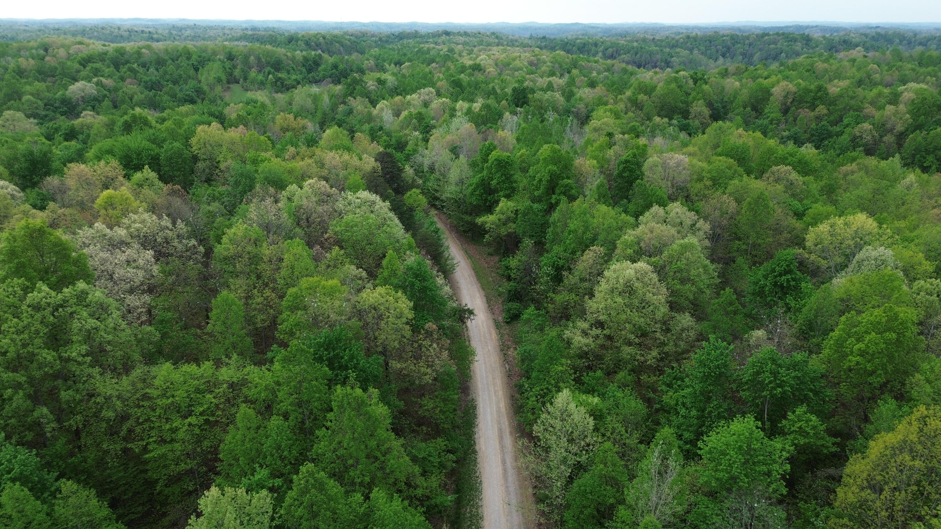 694a Tunnel Ridge Road Property Photo 7