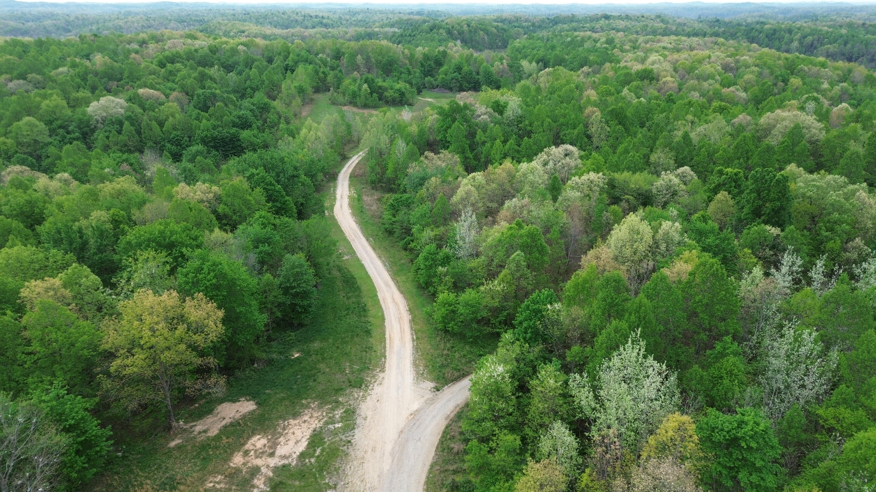 694a Tunnel Ridge Road Property Photo 11