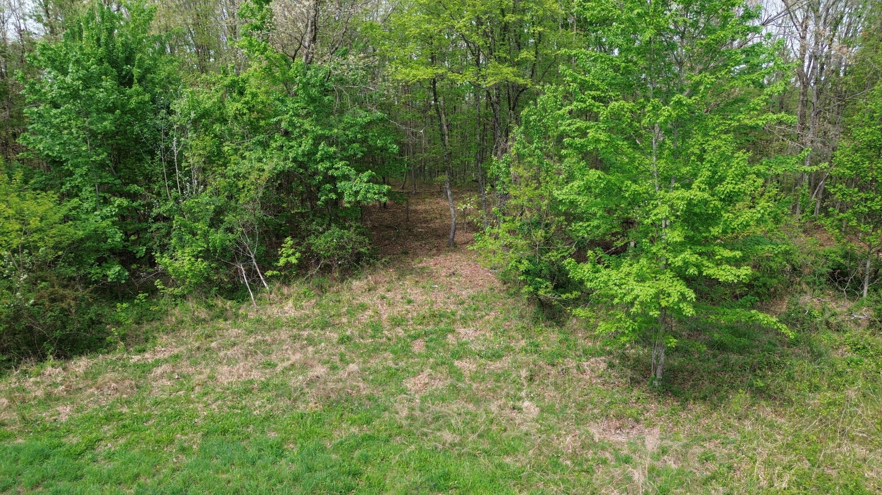 694a Tunnel Ridge Road Property Photo 15
