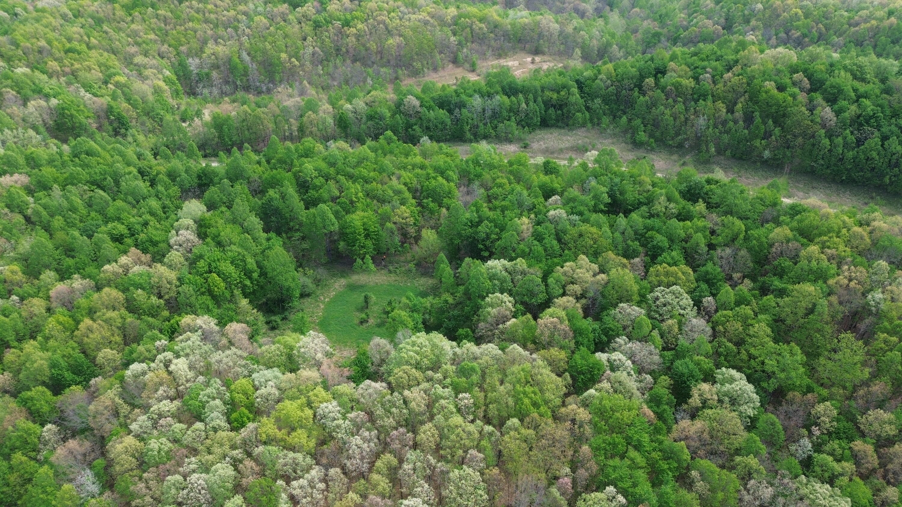 694a Tunnel Ridge Road Property Photo 19