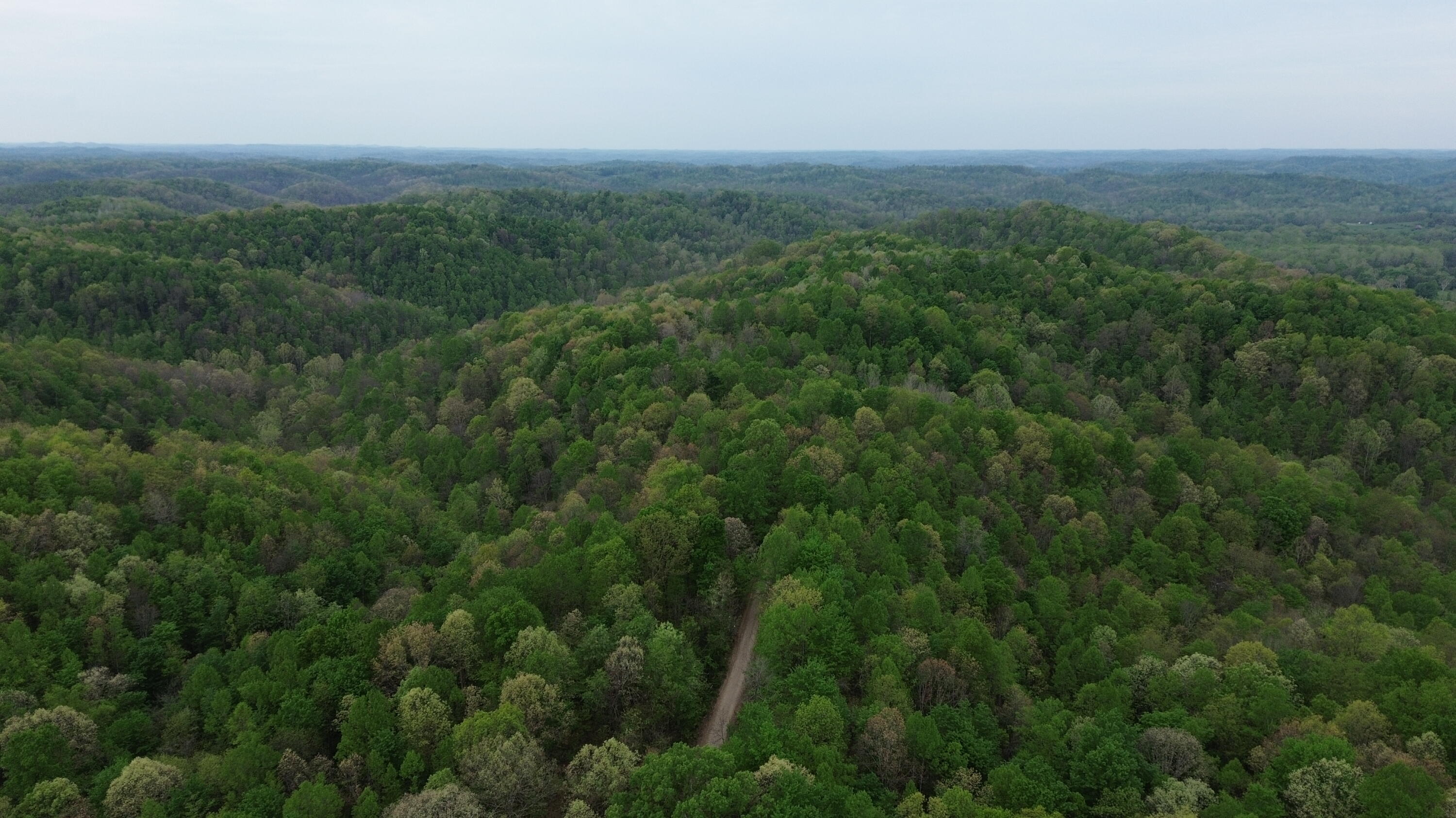 694a Tunnel Ridge Road Property Photo 25