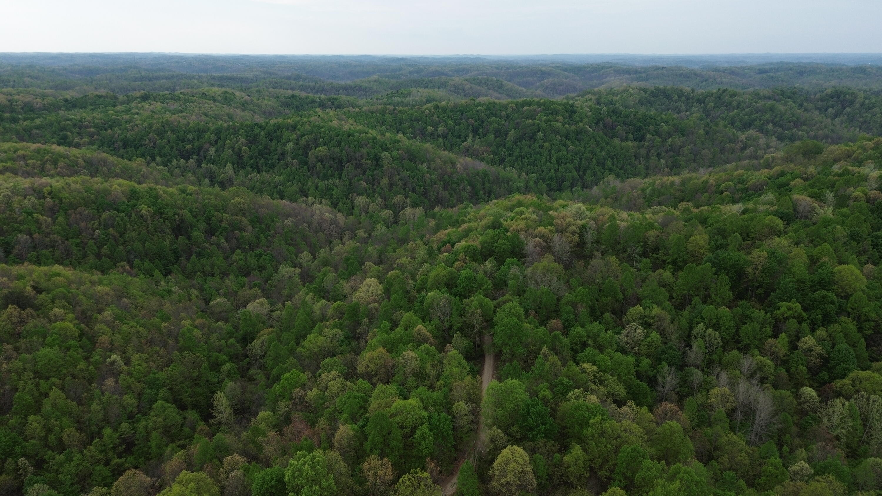 694a Tunnel Ridge Road Property Photo 29