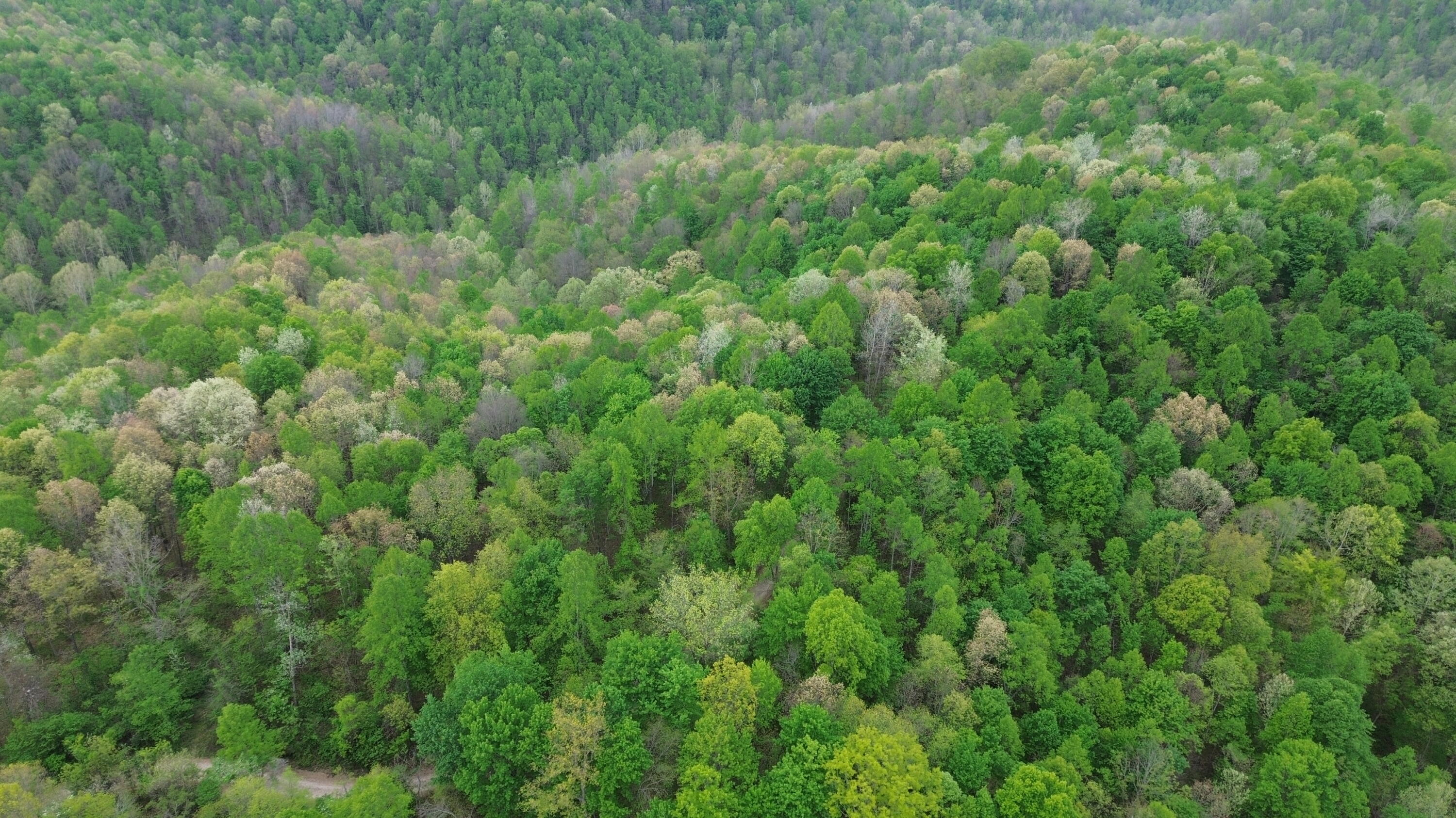 694a Tunnel Ridge Road Property Photo 33