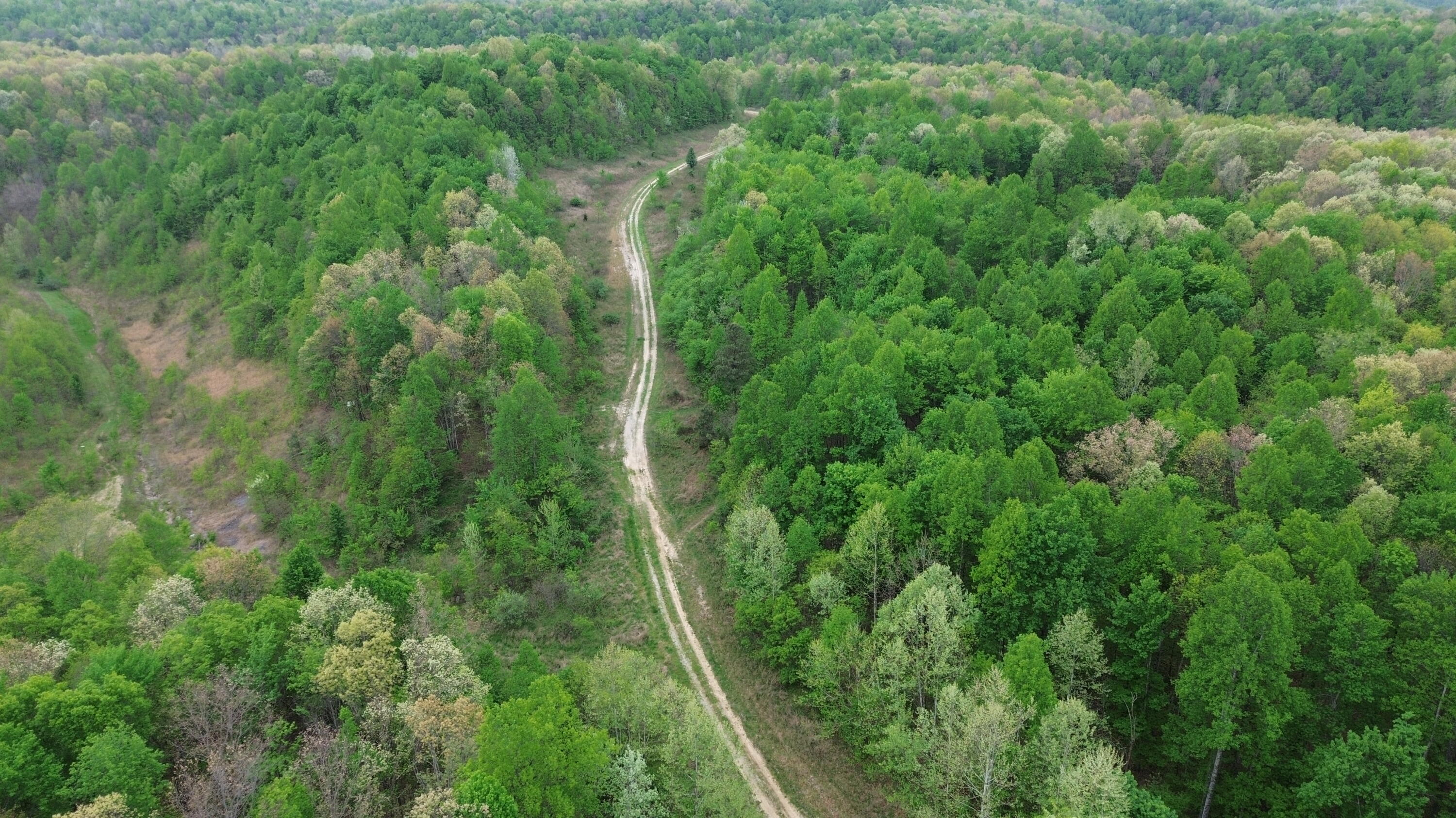 694a Tunnel Ridge Road Property Photo 37
