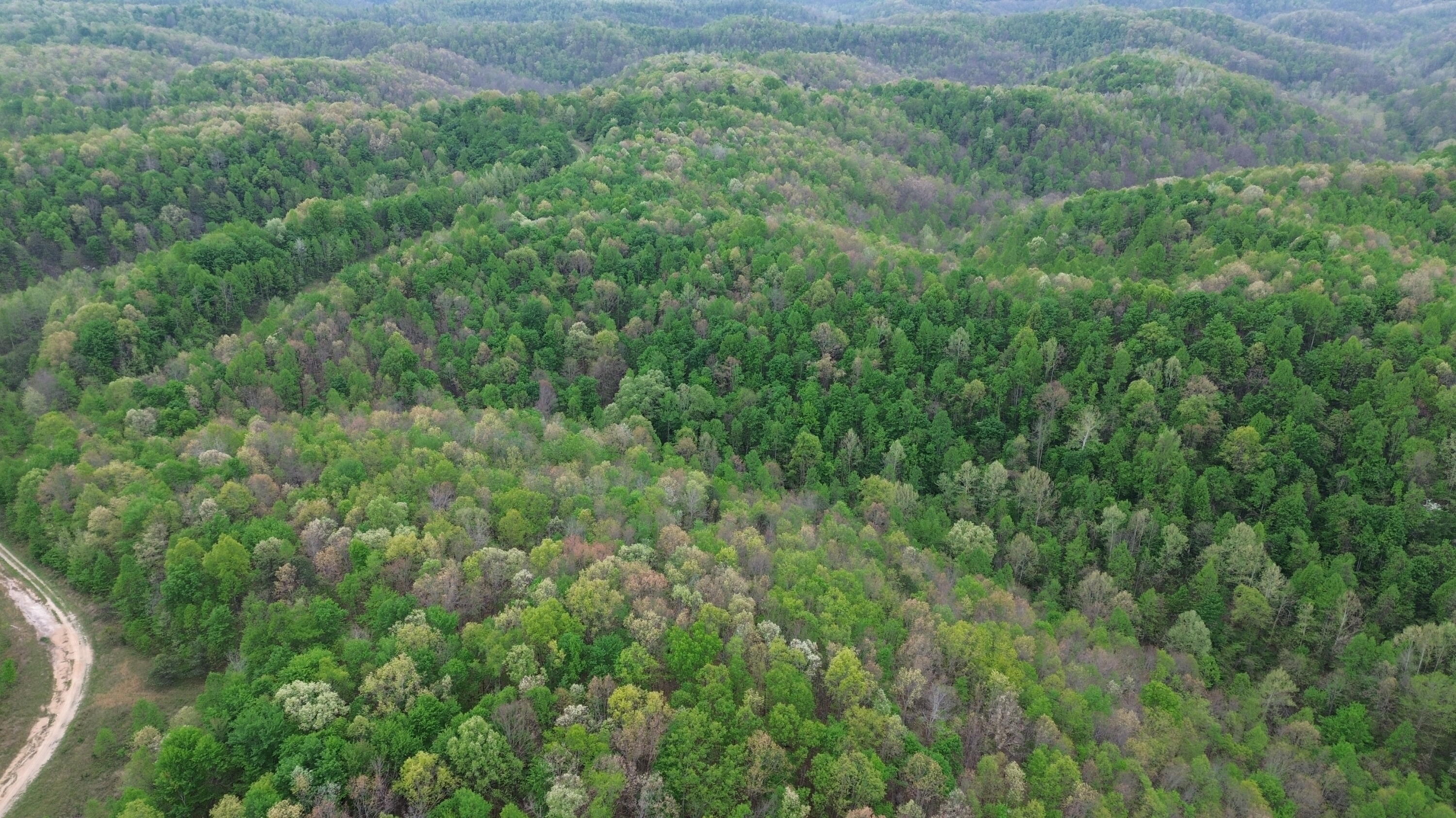 694a Tunnel Ridge Road Property Photo 45