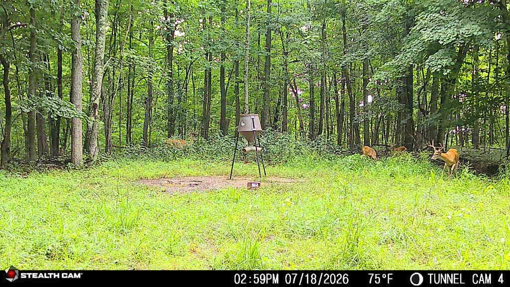 694a Tunnel Ridge Road Property Photo 46
