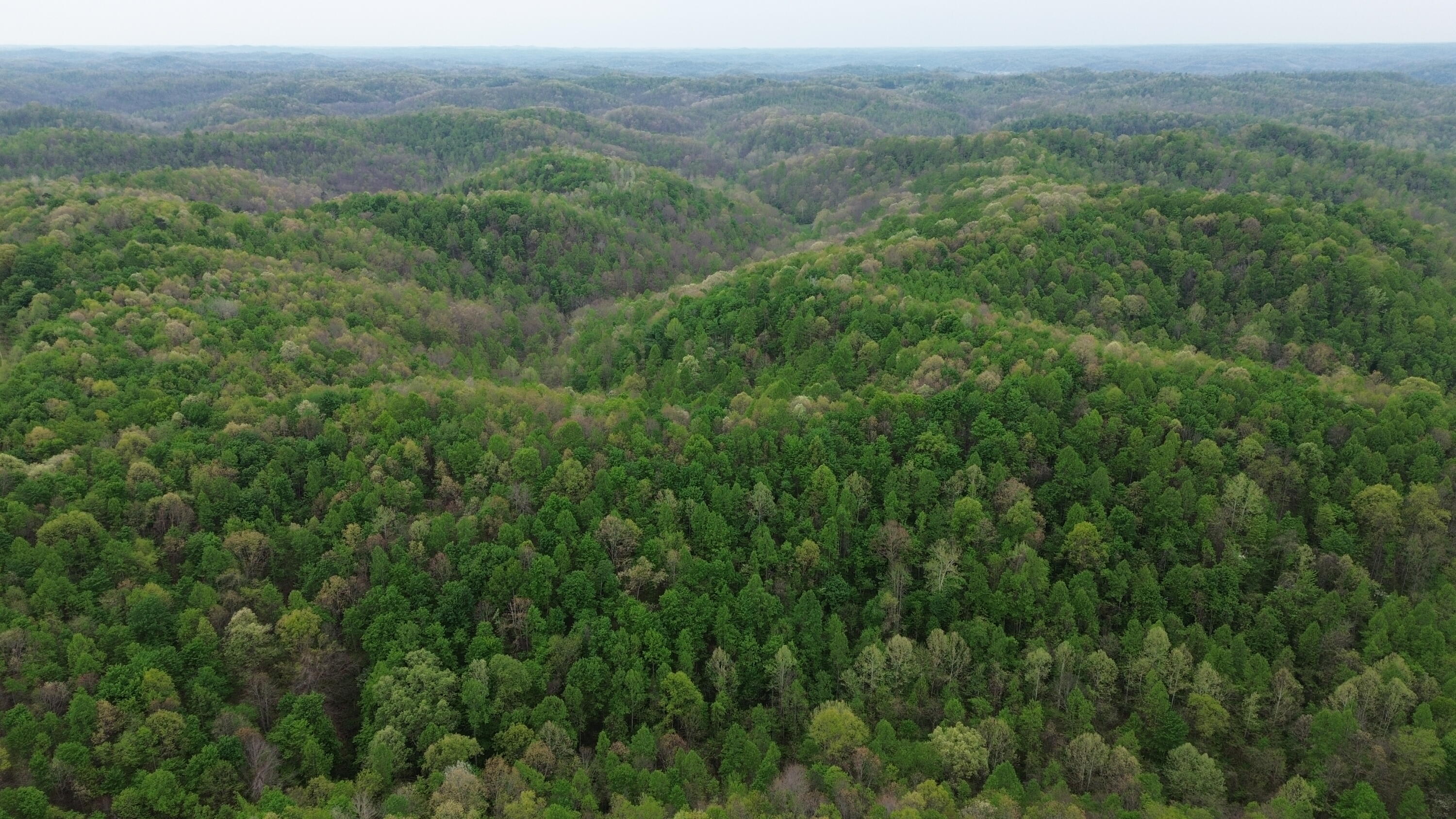 694a Tunnel Ridge Road Property Photo 49