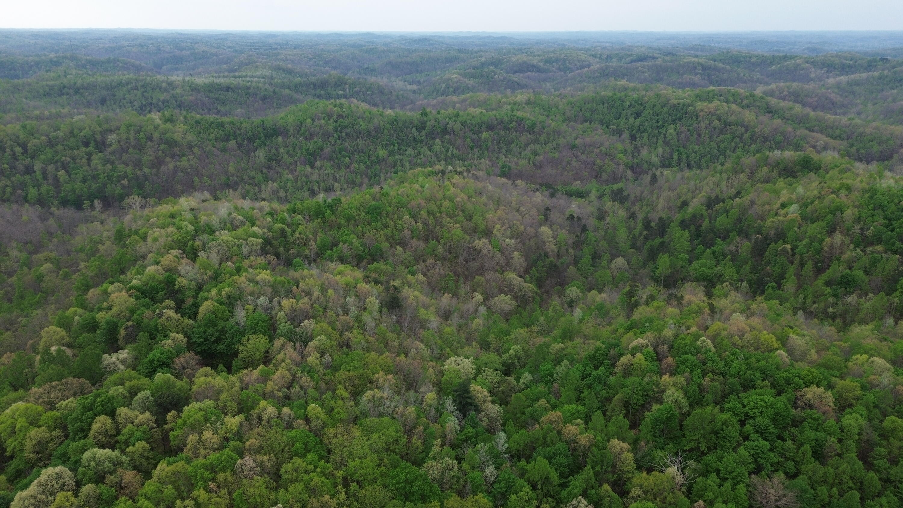 694a Tunnel Ridge Road Property Photo 61