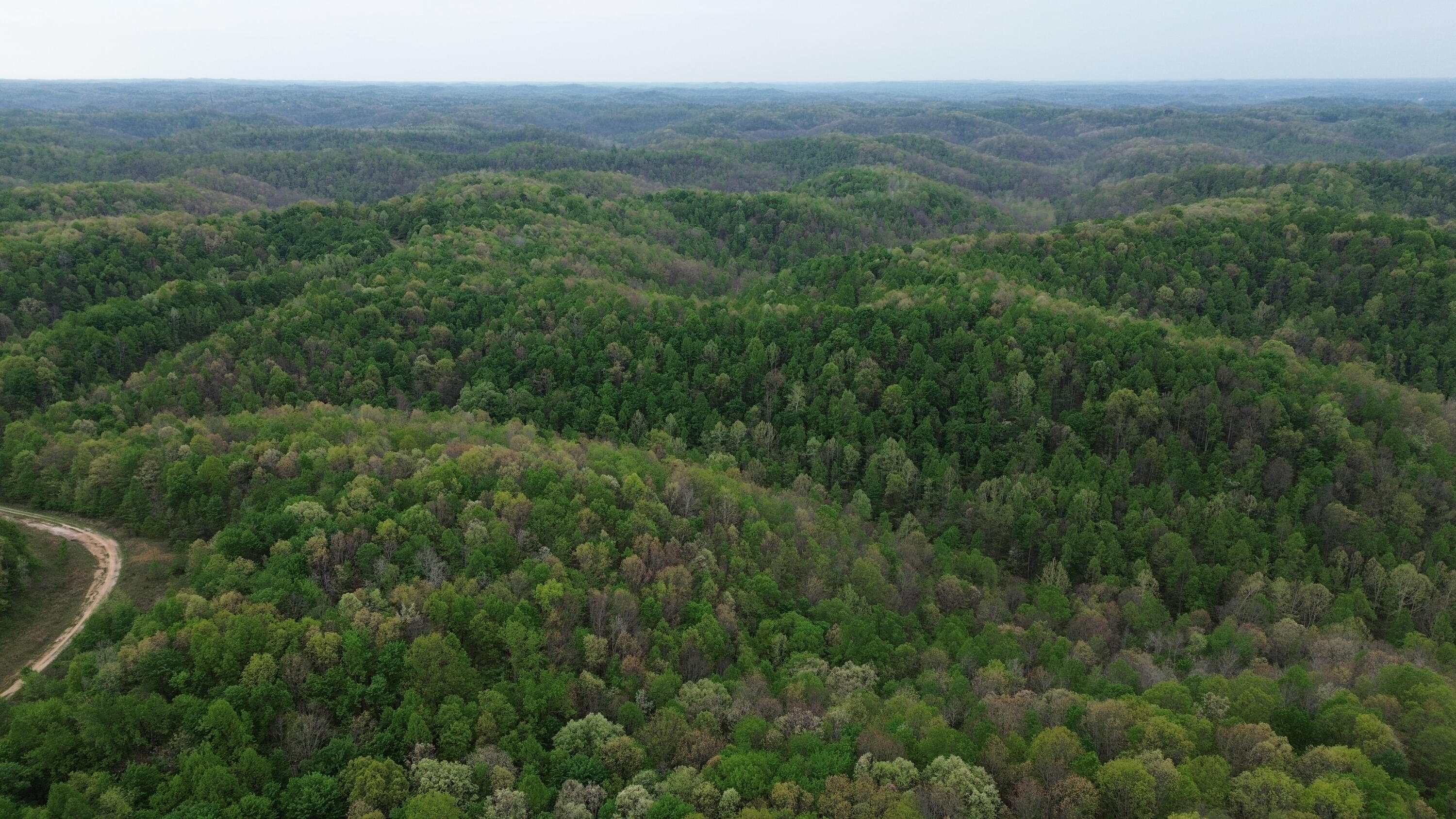 694a Tunnel Ridge Road Property Photo 63