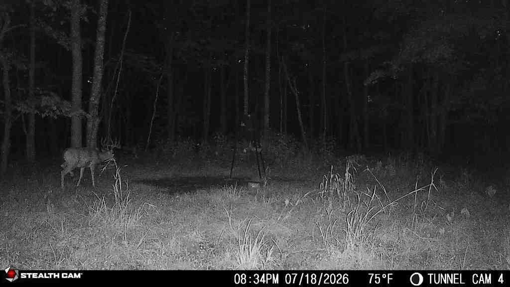 694a Tunnel Ridge Road Property Photo 64