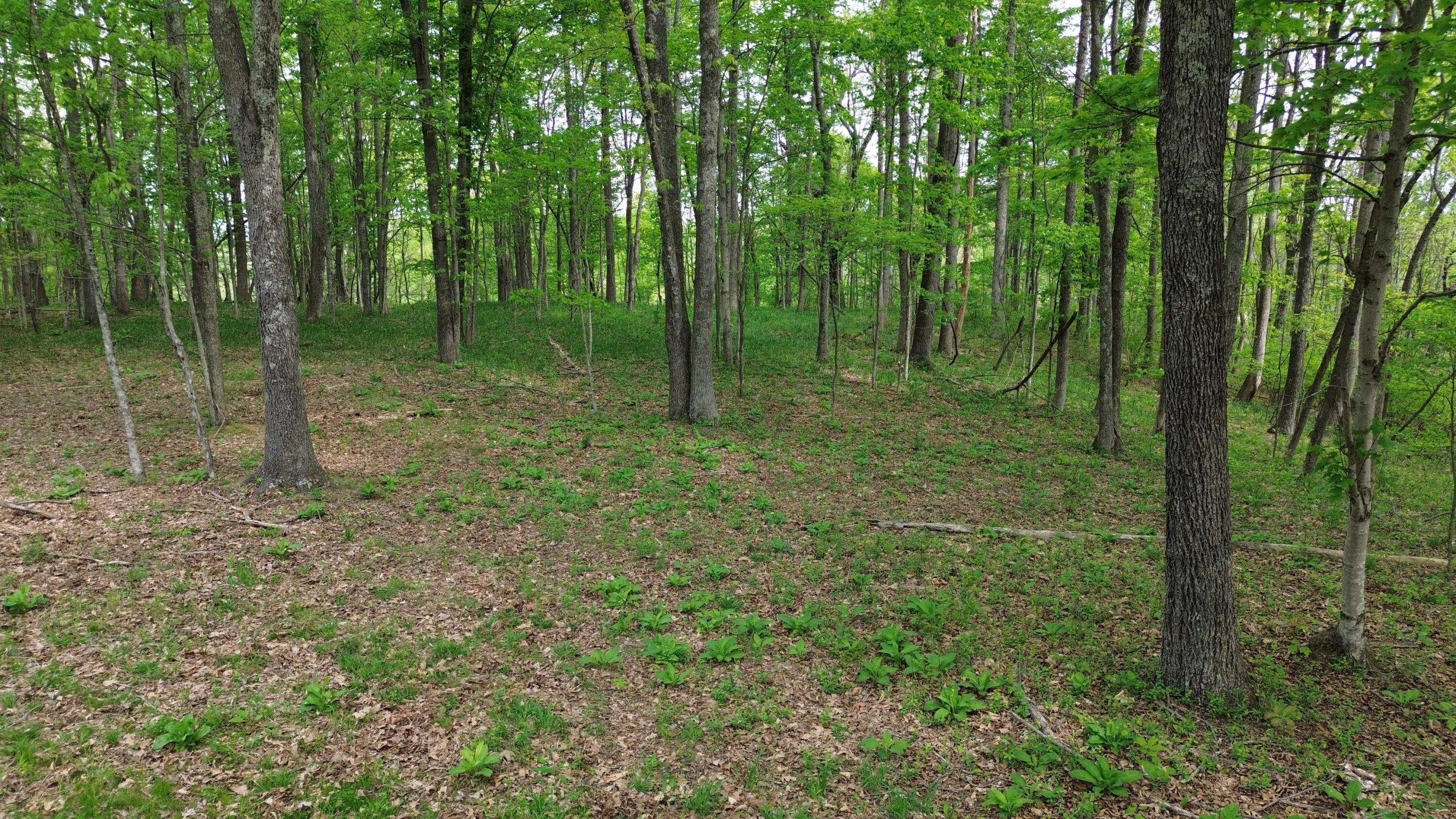 694a Tunnel Ridge Road Property Photo 66