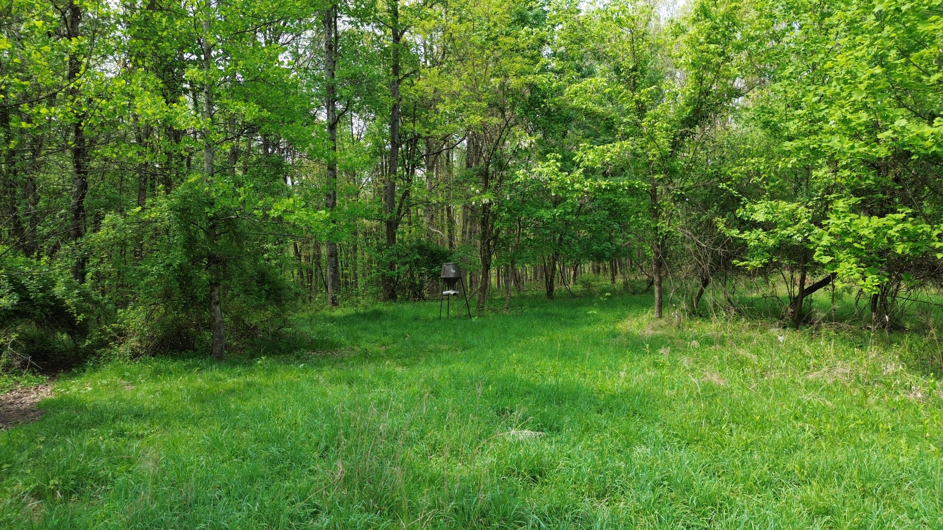 694a Tunnel Ridge Road Property Photo 83