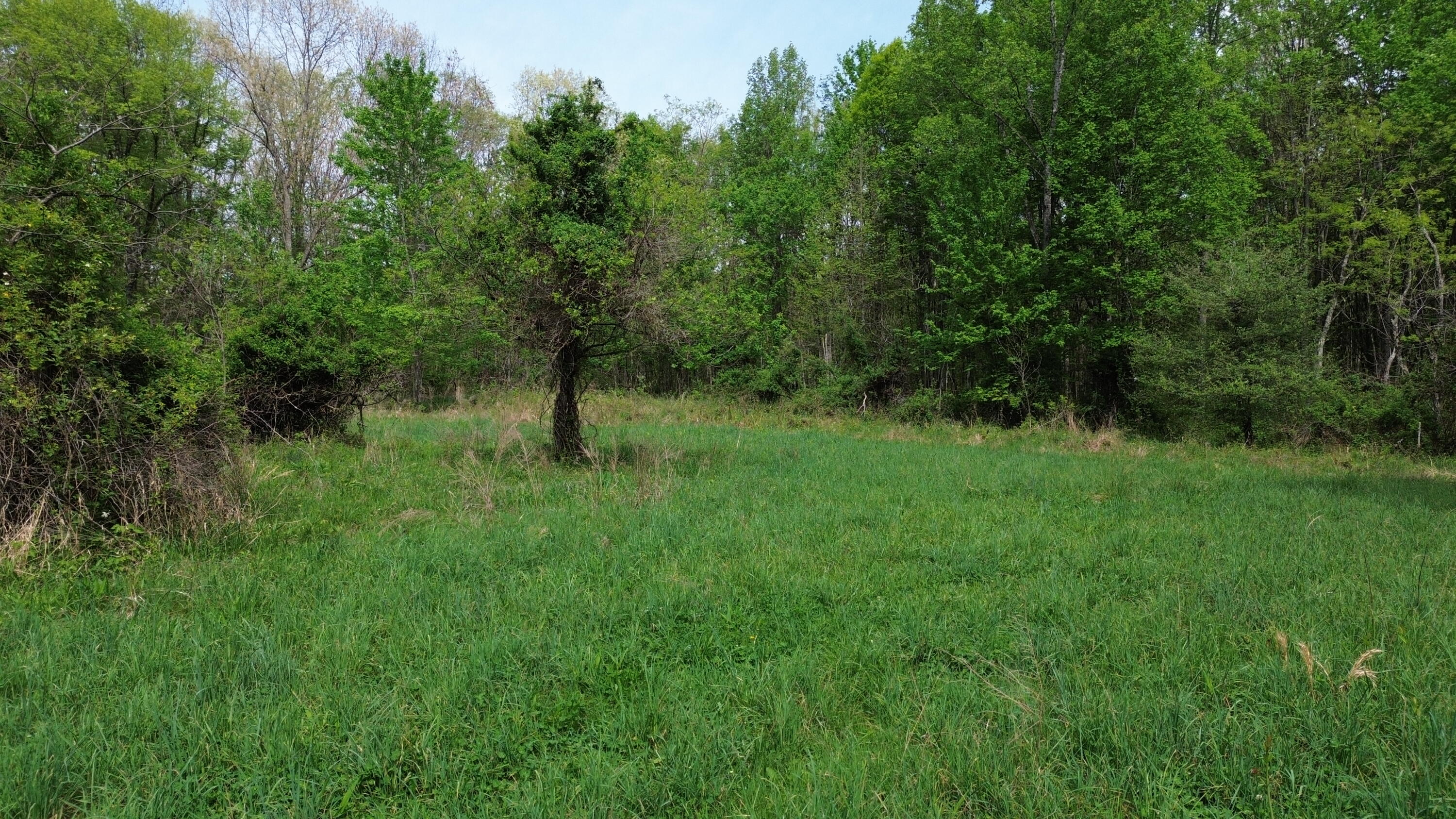 694a Tunnel Ridge Road Property Photo 84