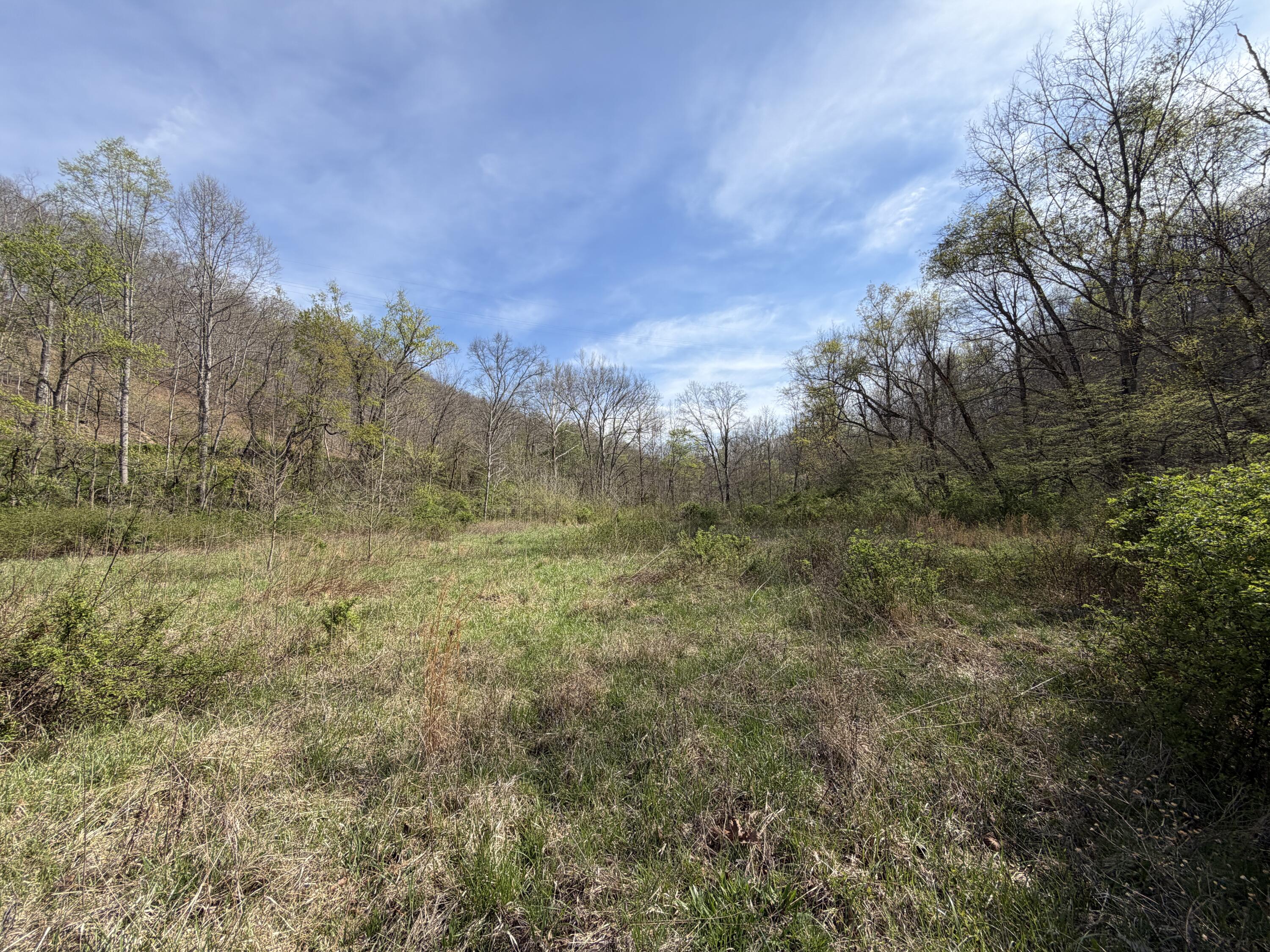 694a Tunnel Ridge Road Property Photo 85