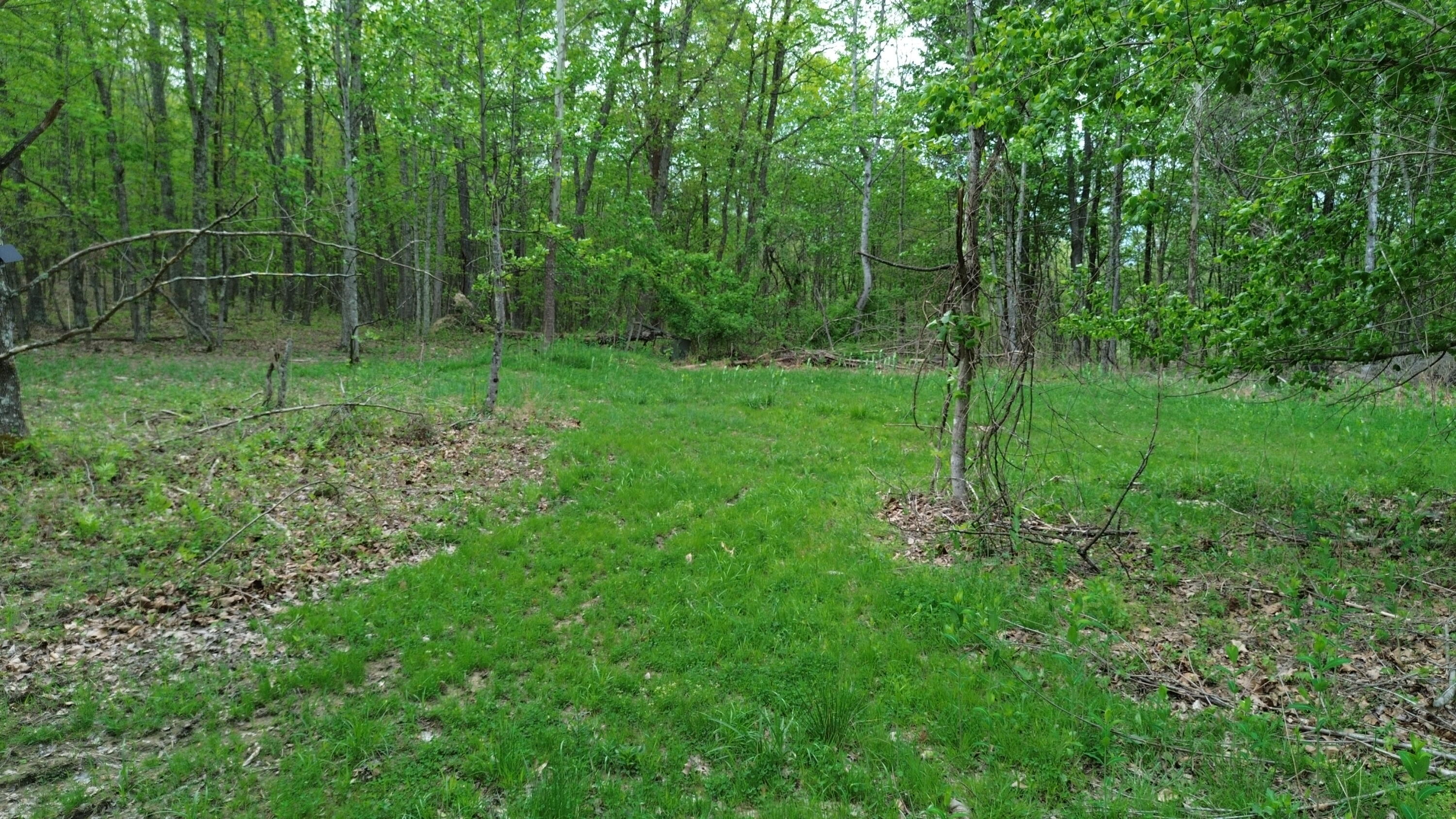 566a Tunnel Ridge Road Property Photo 1