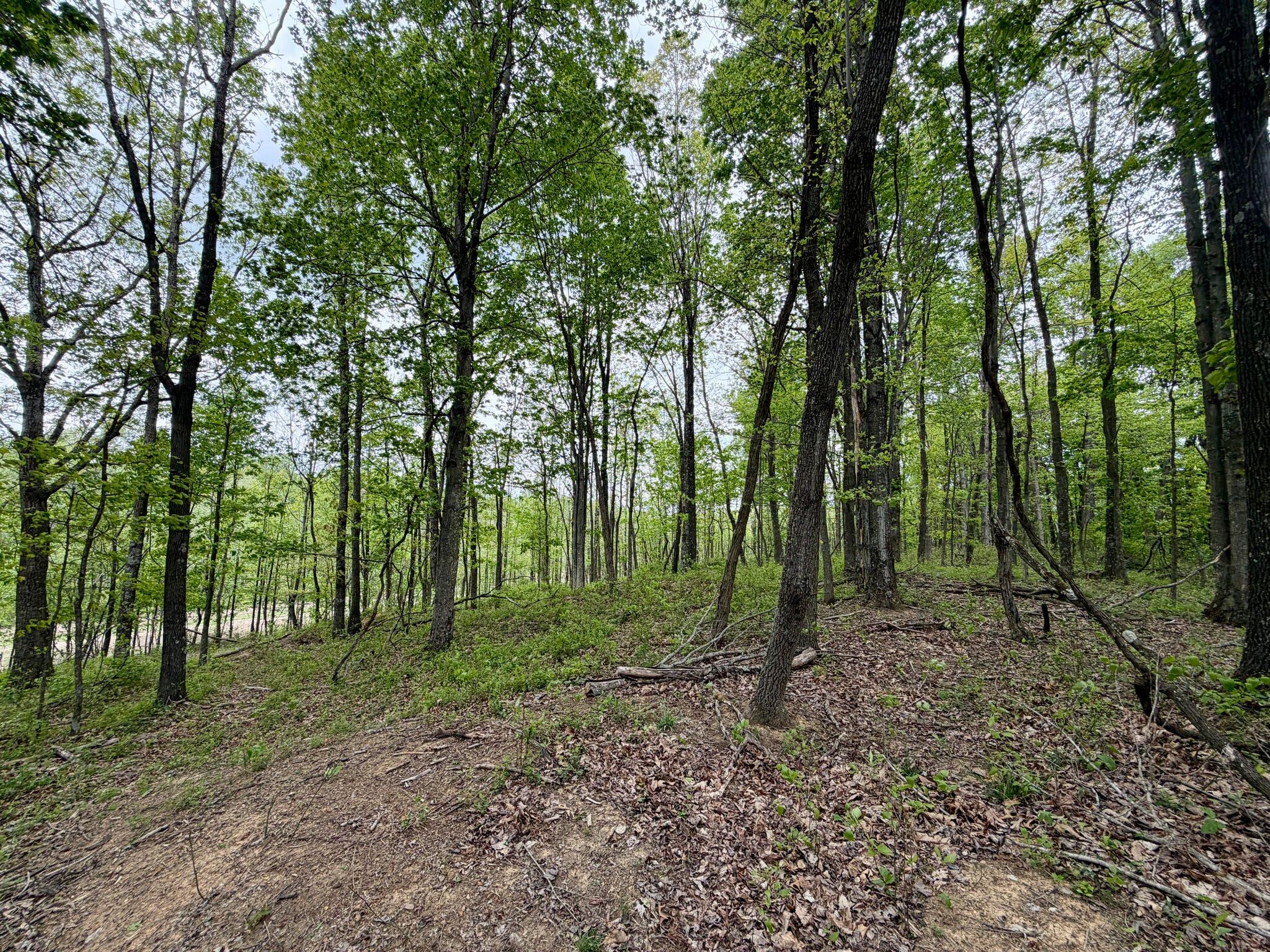 566a Tunnel Ridge Road Property Photo 13