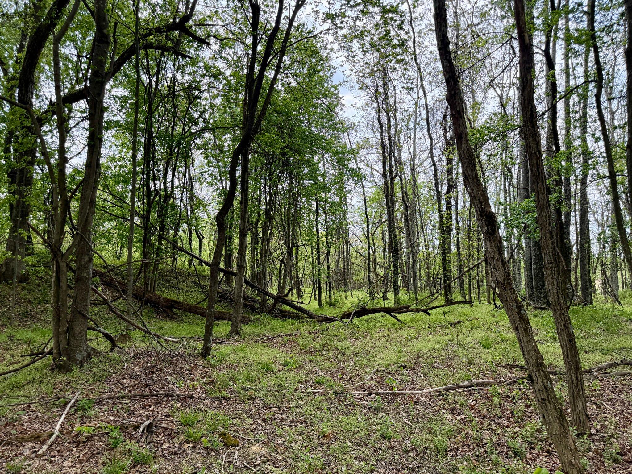 566a Tunnel Ridge Road Property Photo 21