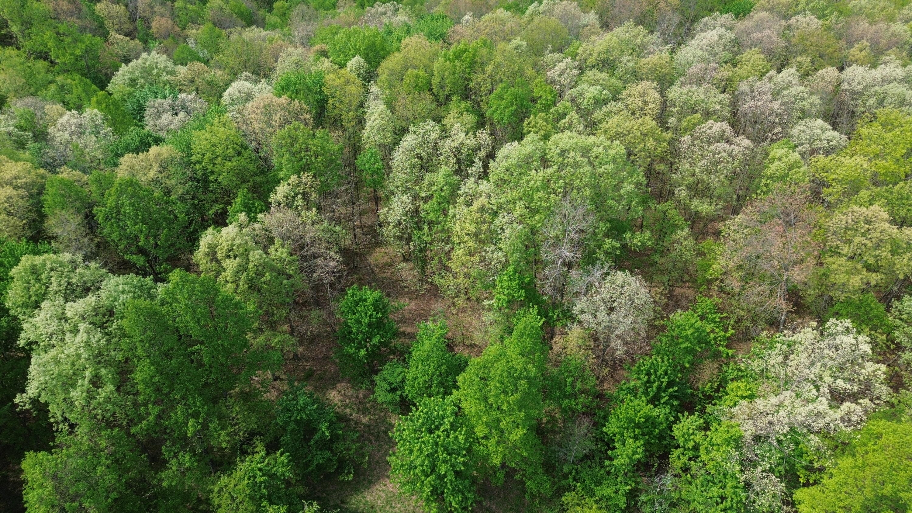 566a Tunnel Ridge Road Property Photo 33