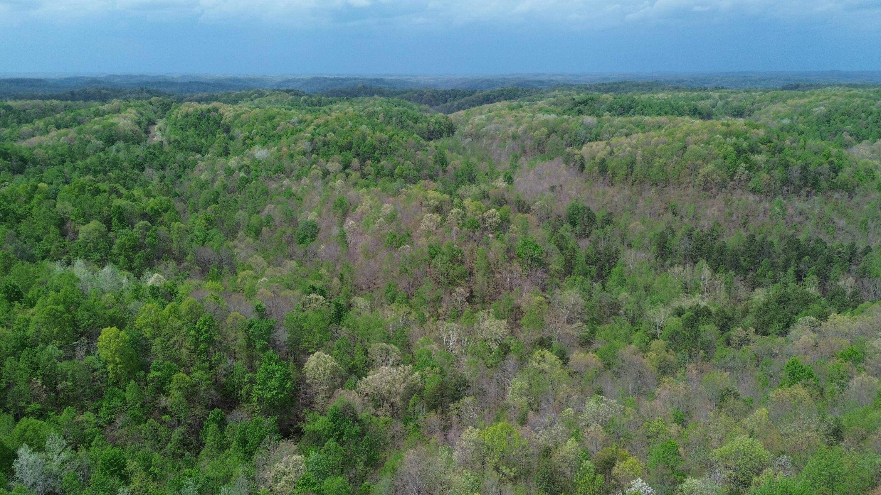 566a Tunnel Ridge Road Property Photo 37